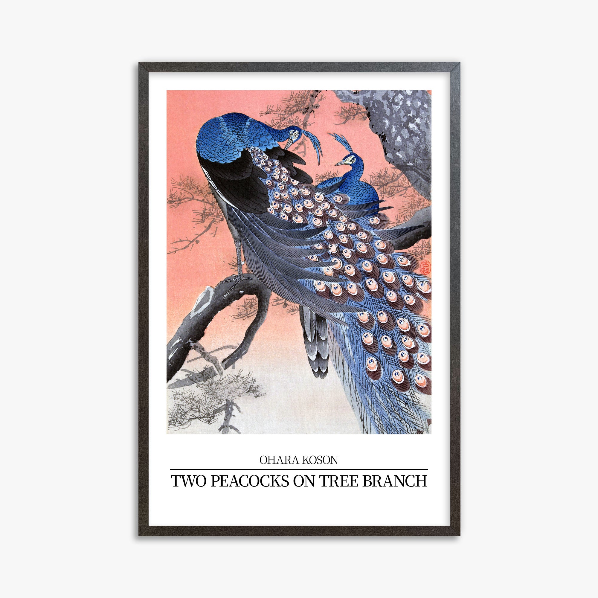 Ohara Koson: Two peacocks on tree branch - Japandi Style, 61x91cm Framed Art Reproduction With Espresso Frame