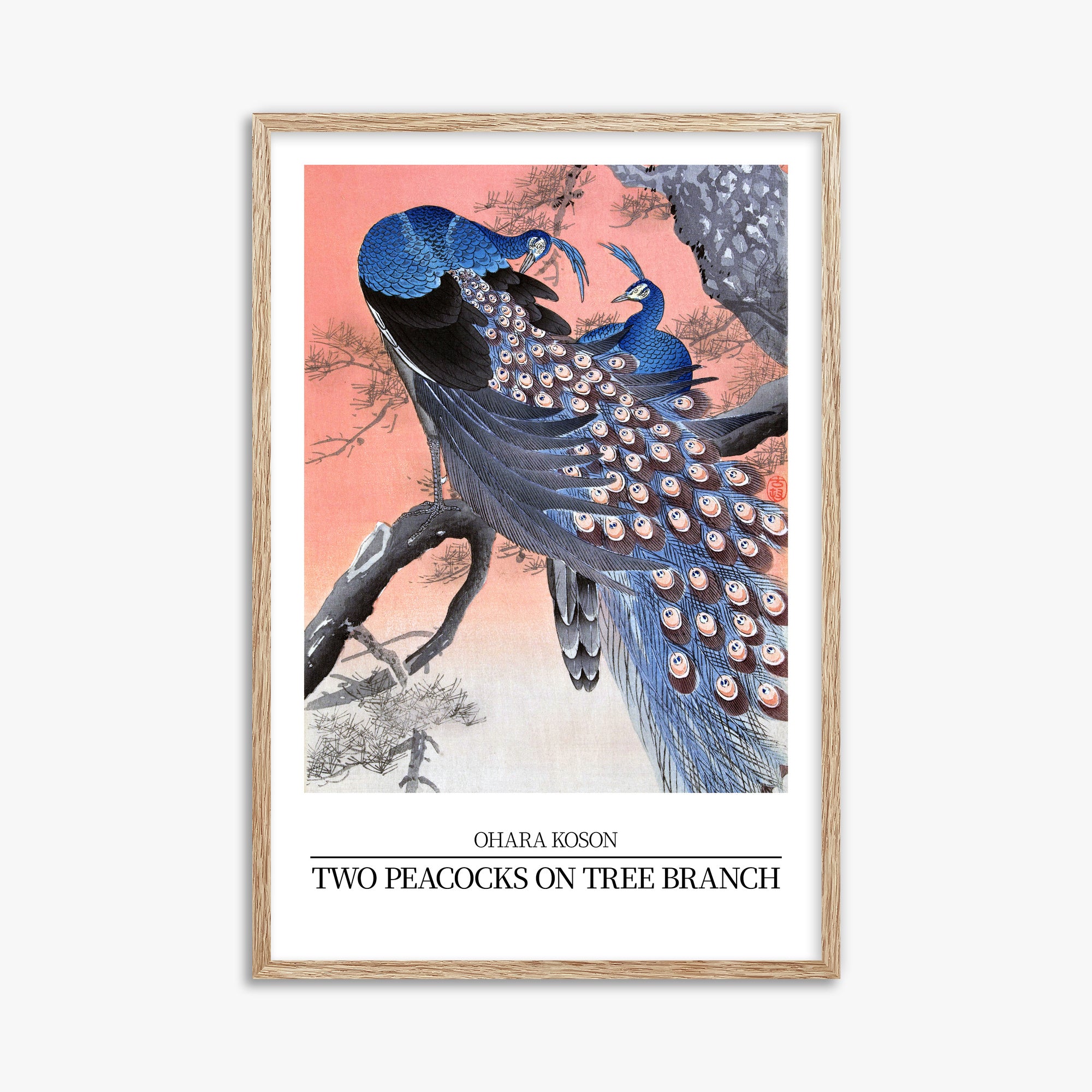 Ohara Koson: Two peacocks on tree branch - Japandi Style, 61x91cm Framed Art Reproduction With Raw Oak Frame