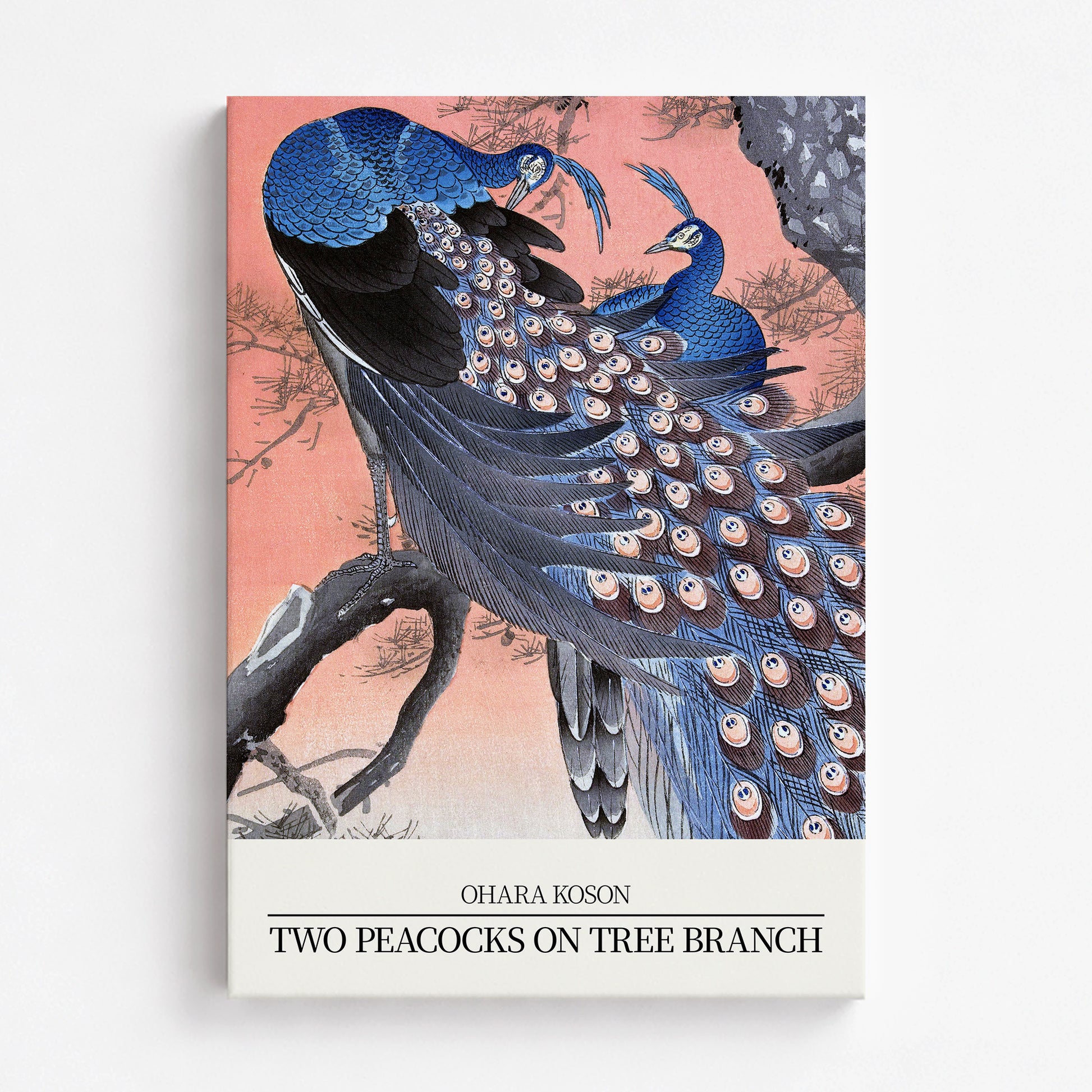 Ohara Koson: Two peacocks on tree branch - Japandi Style, 70x100cm Satin Canvas Art Reproduction