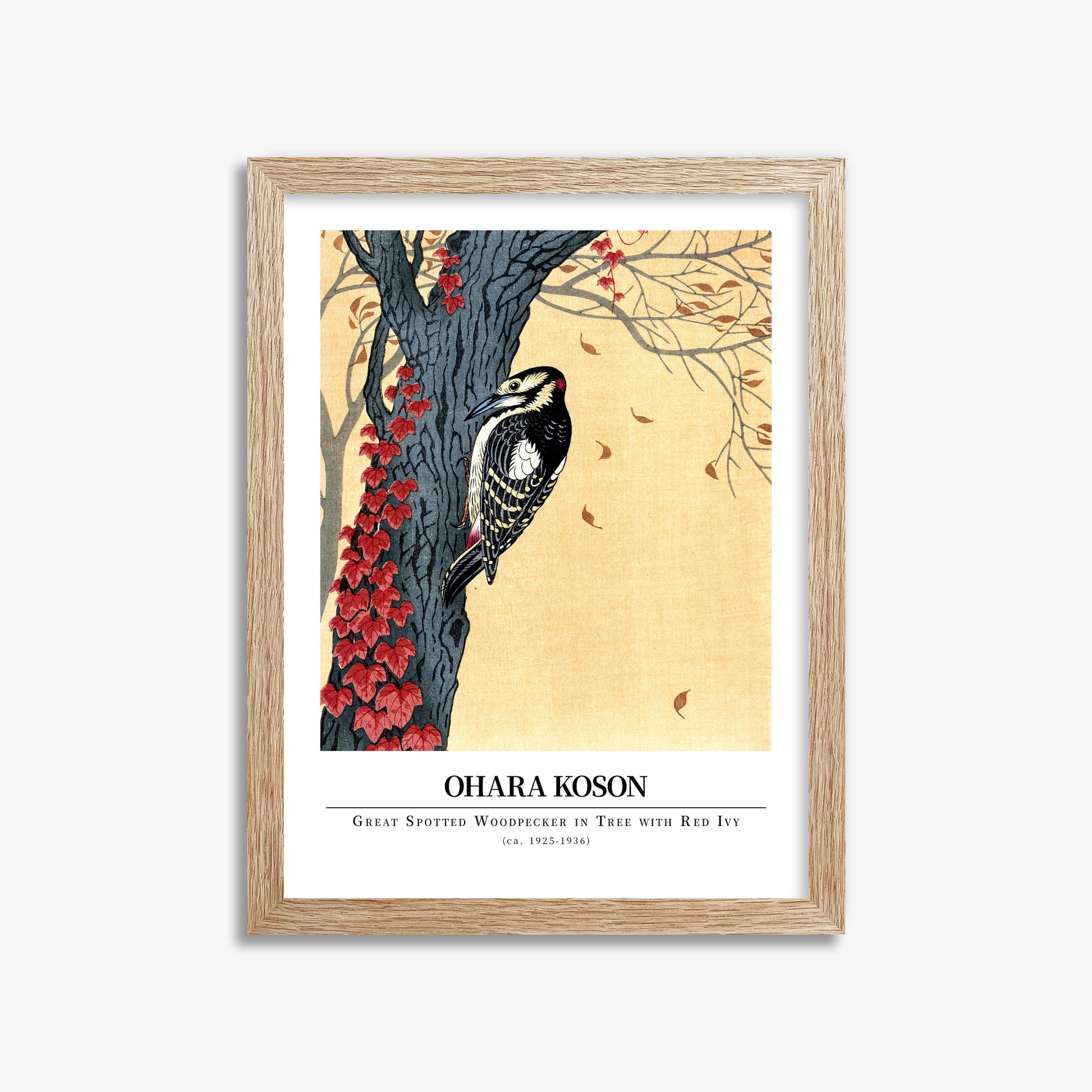 Ohara Koson: Great spotted woodpecker in tree with red ivy - Gallery-style, 30x40cm Framed Art Reproduction With Raw Oak Frame