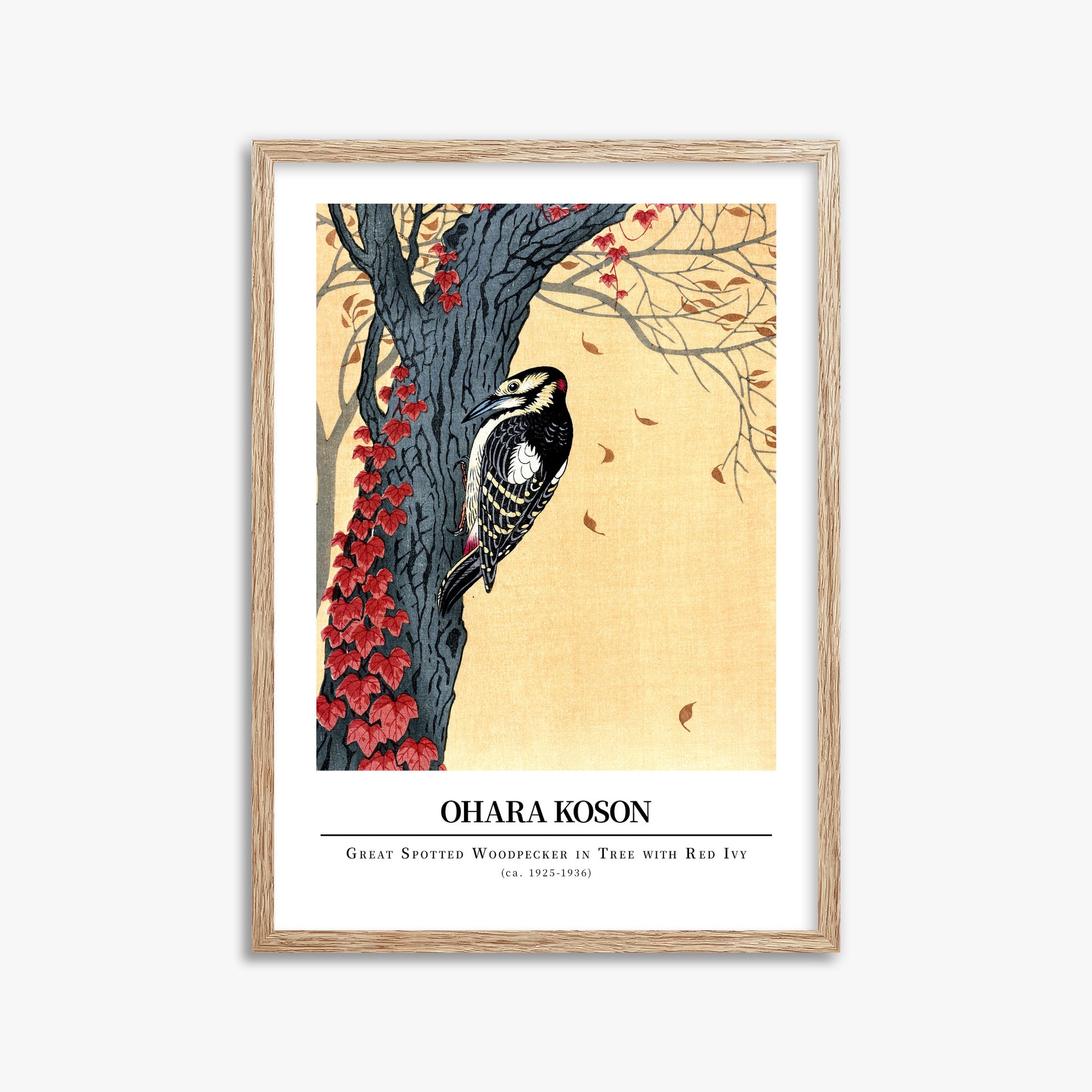 Ohara Koson: Great spotted woodpecker in tree with red ivy - Gallery-style, 50x70cm Framed Art Reproduction With Raw Oak Frame