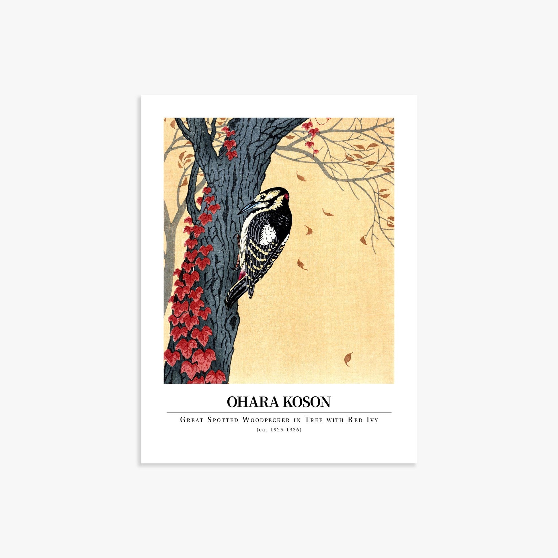 Ohara Koson: Great spotted woodpecker in tree with red ivy - Gallery-style 30x40 cm Art Reproduction Unframed