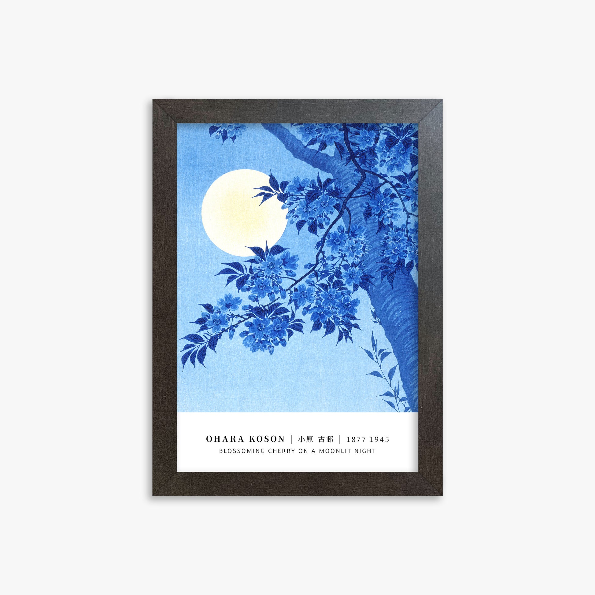 Ohara Koson: Blossoming Cherry on a Moonlit Night - Gallery-style, 21x30cm Framed Art Reproduction With Espresso Frame