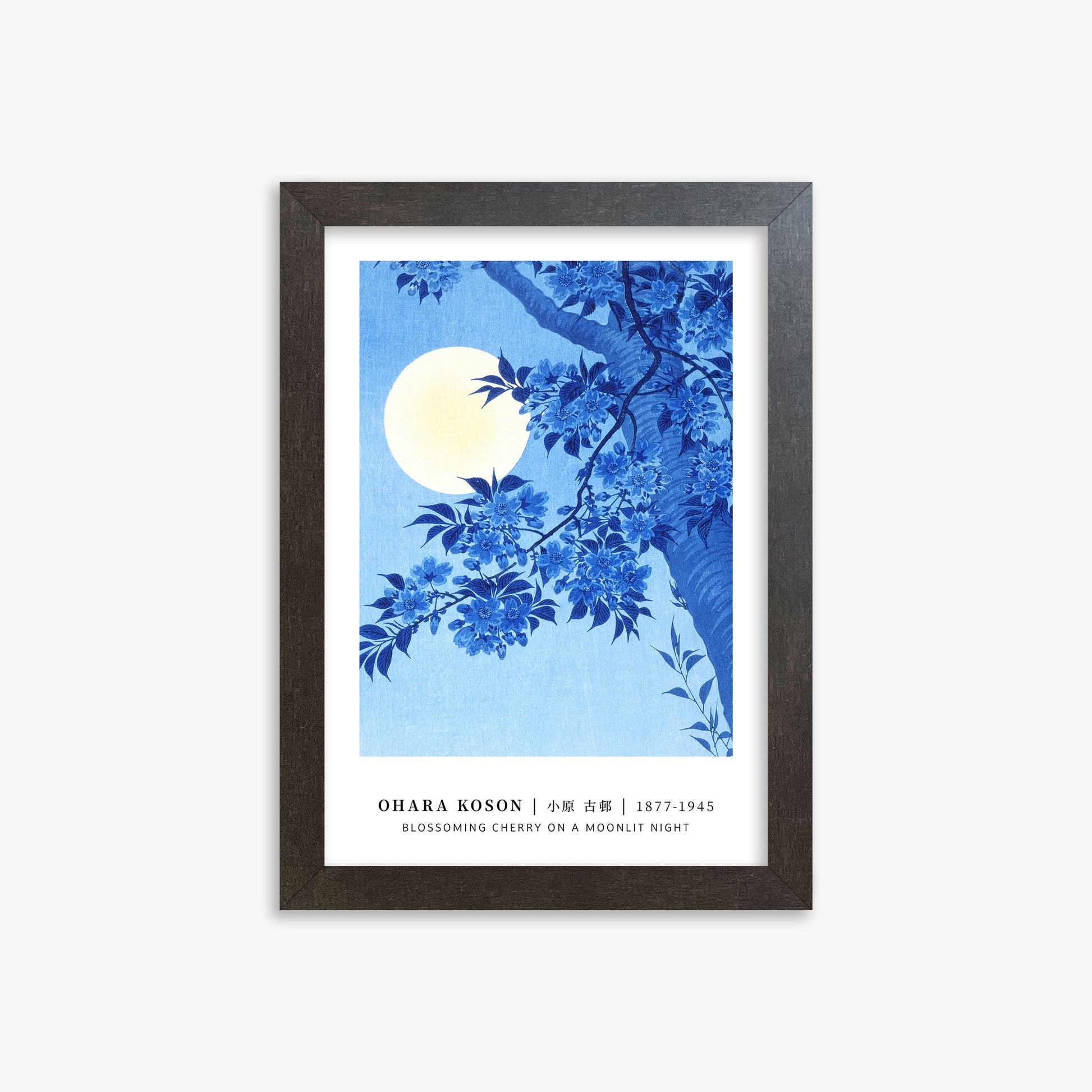 Ohara Koson: Blossoming Cherry on a Moonlit Night - Gallery-style, 21x30cm Framed Art Reproduction With Espresso Frame