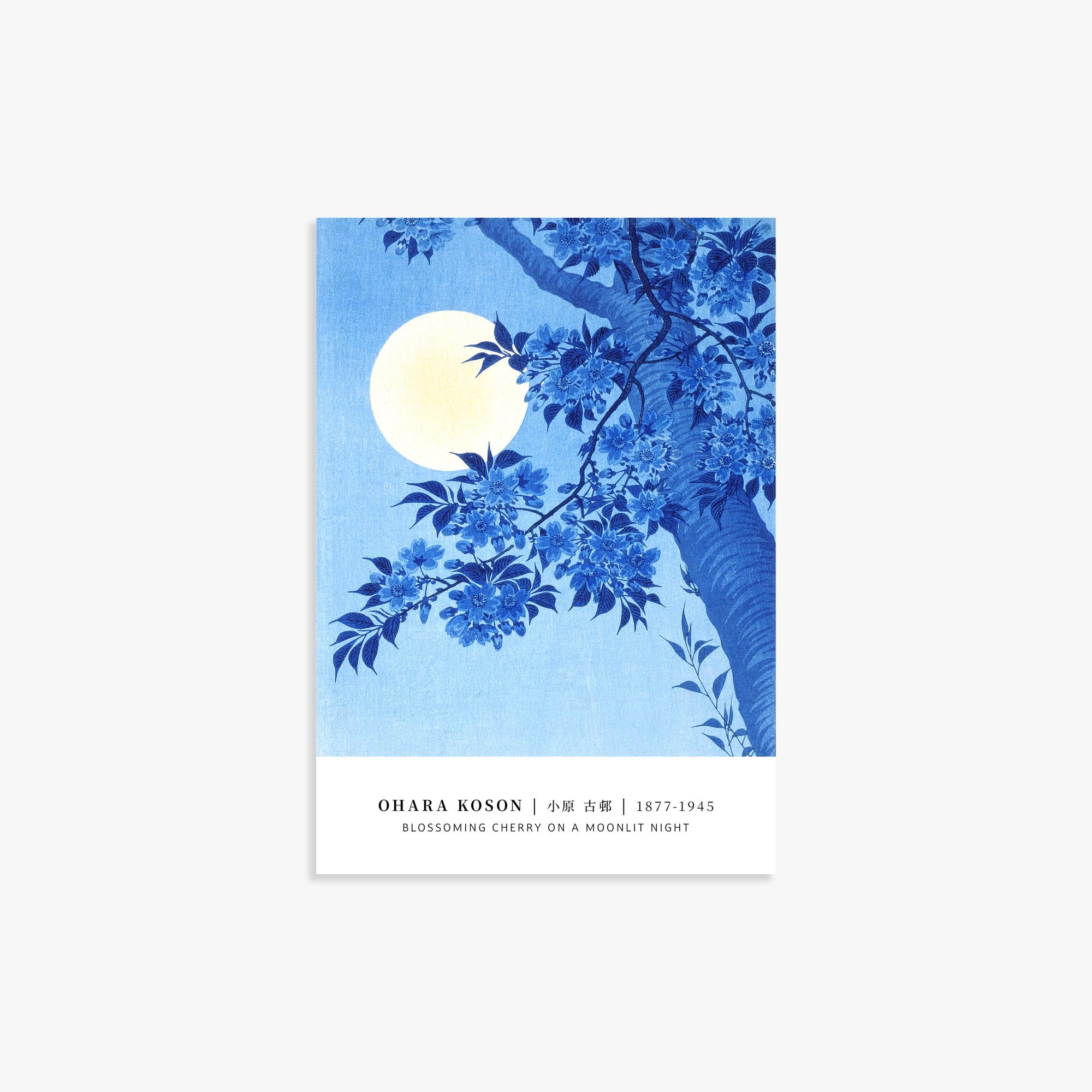 Ohara Koson Moonlit Cherry Blossom | Japandi.Art