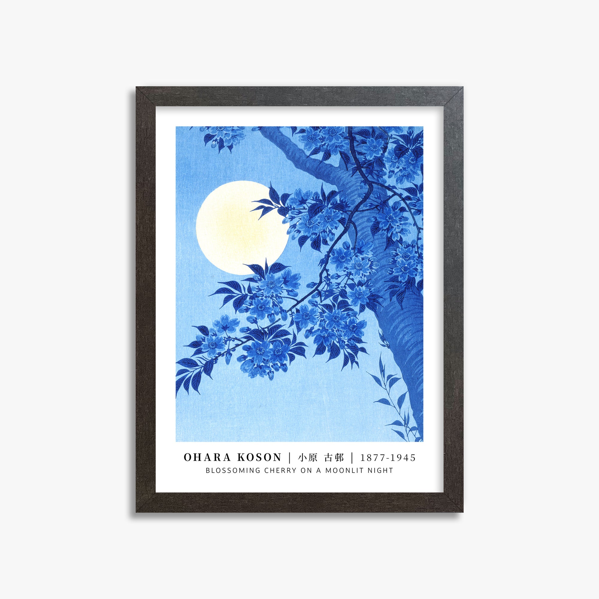Ohara Koson: Blossoming Cherry on a Moonlit Night - Gallery-style, 30x40cm Framed Art Reproduction With Espresso Frame