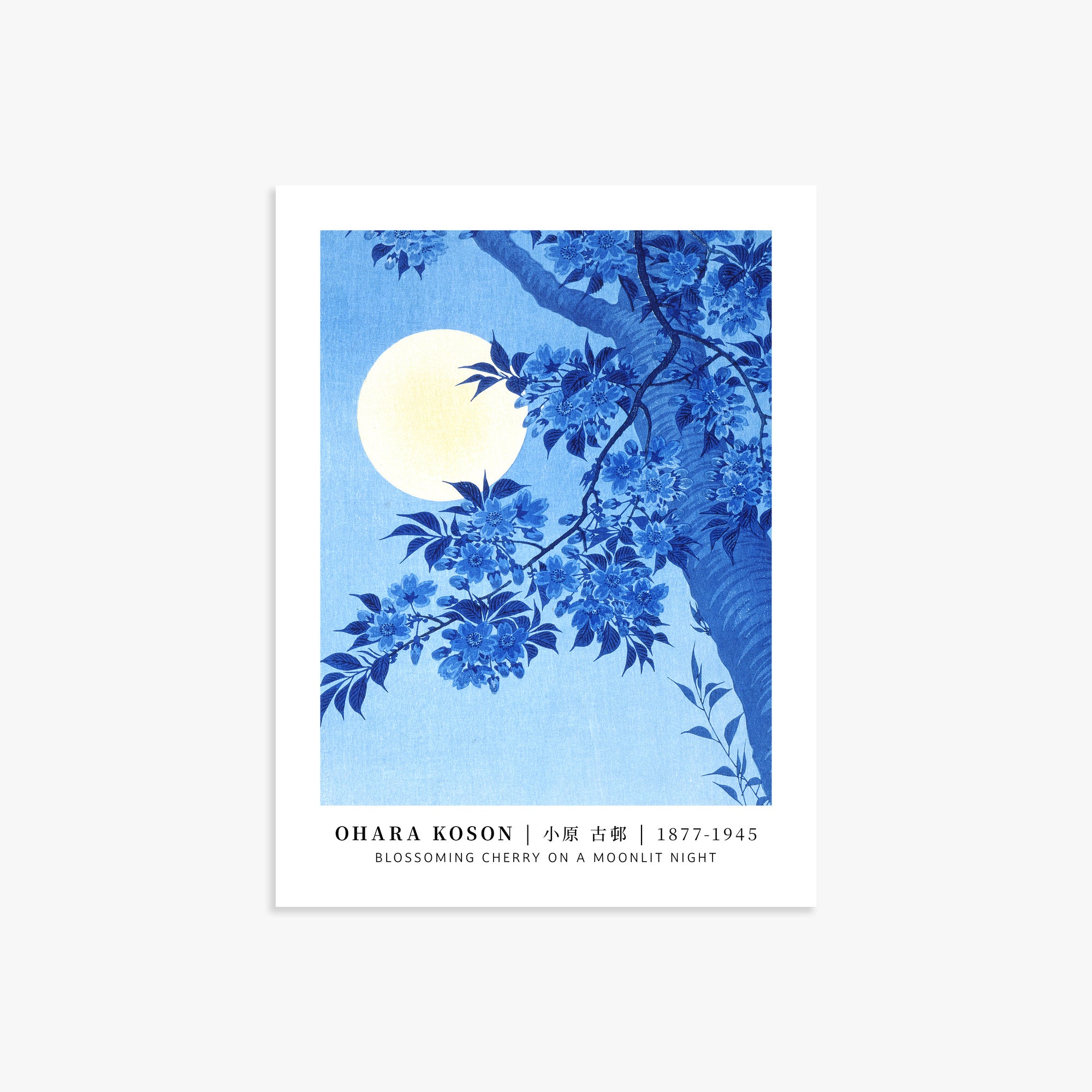 Blossoming Cherry on a Moonlit Night - Gallery-style
