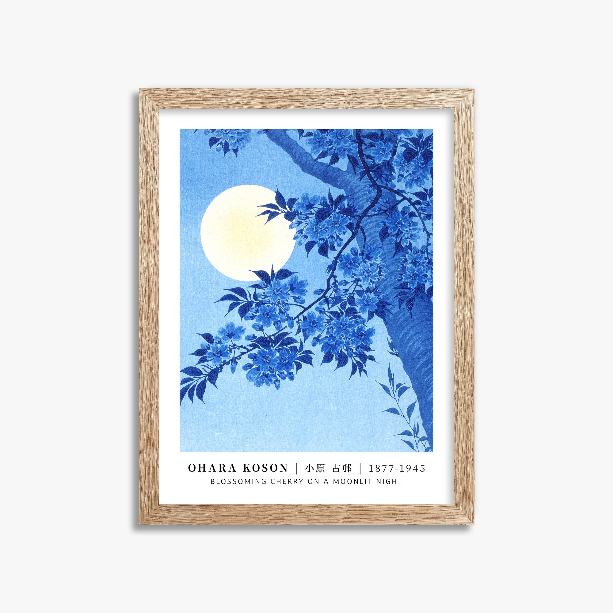 Ohara Koson: Blossoming Cherry on a Moonlit Night - Gallery-style, 30x40cm Framed Art Reproduction With Raw Oak Frame