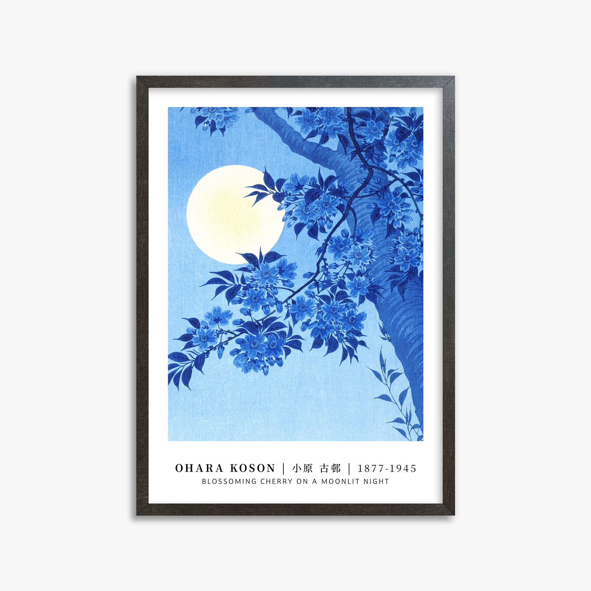 Ohara Koson: Blossoming Cherry on a Moonlit Night - Gallery-style, 50x70cm Framed Art Reproduction With Espresso Frame