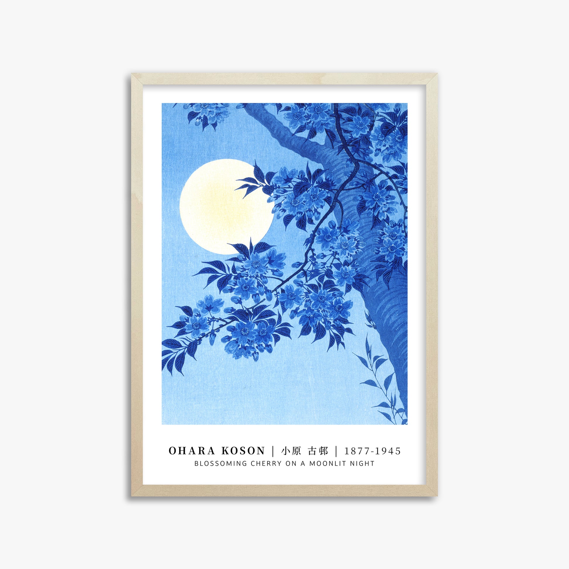 Ohara Koson: Blossoming Cherry on a Moonlit Night - Gallery-style, 50x70cm Framed Art Reproduction With Lime Wood Frame