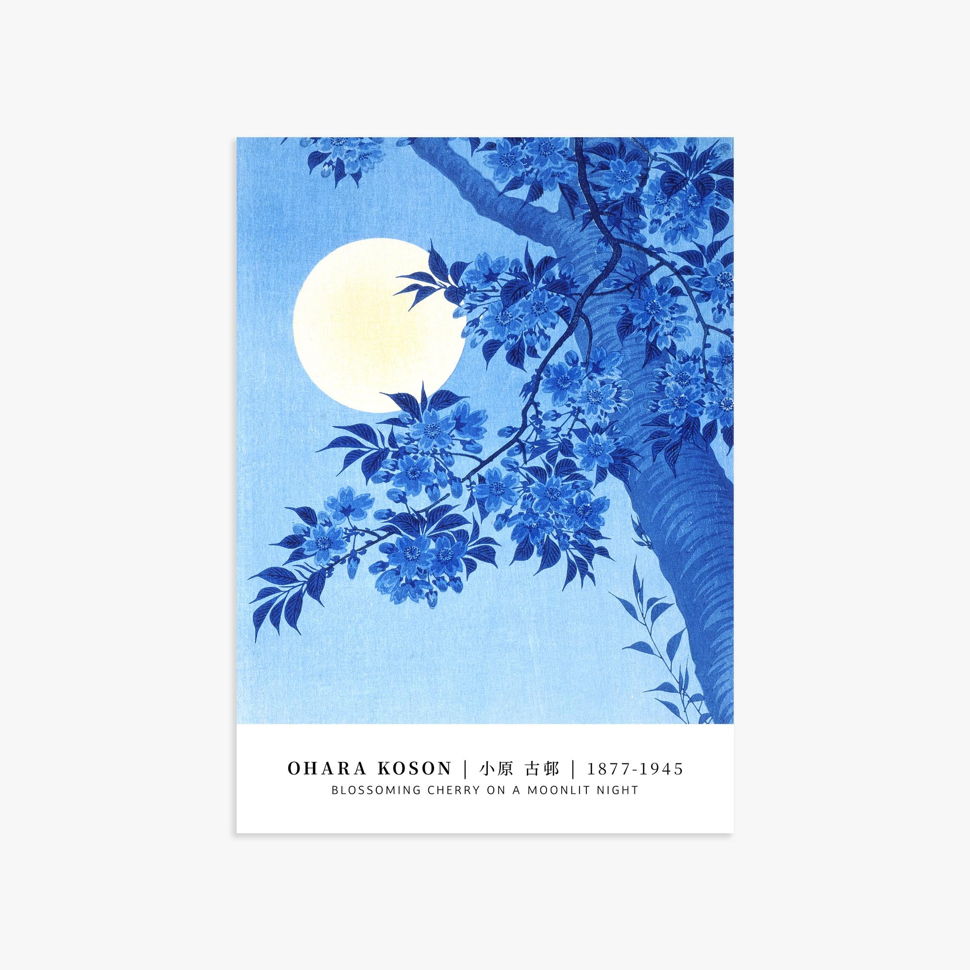 Ohara Koson: Blossoming Cherry on a Moonlit Night - Gallery-style 50x70 cm Art Reproduction Unframed