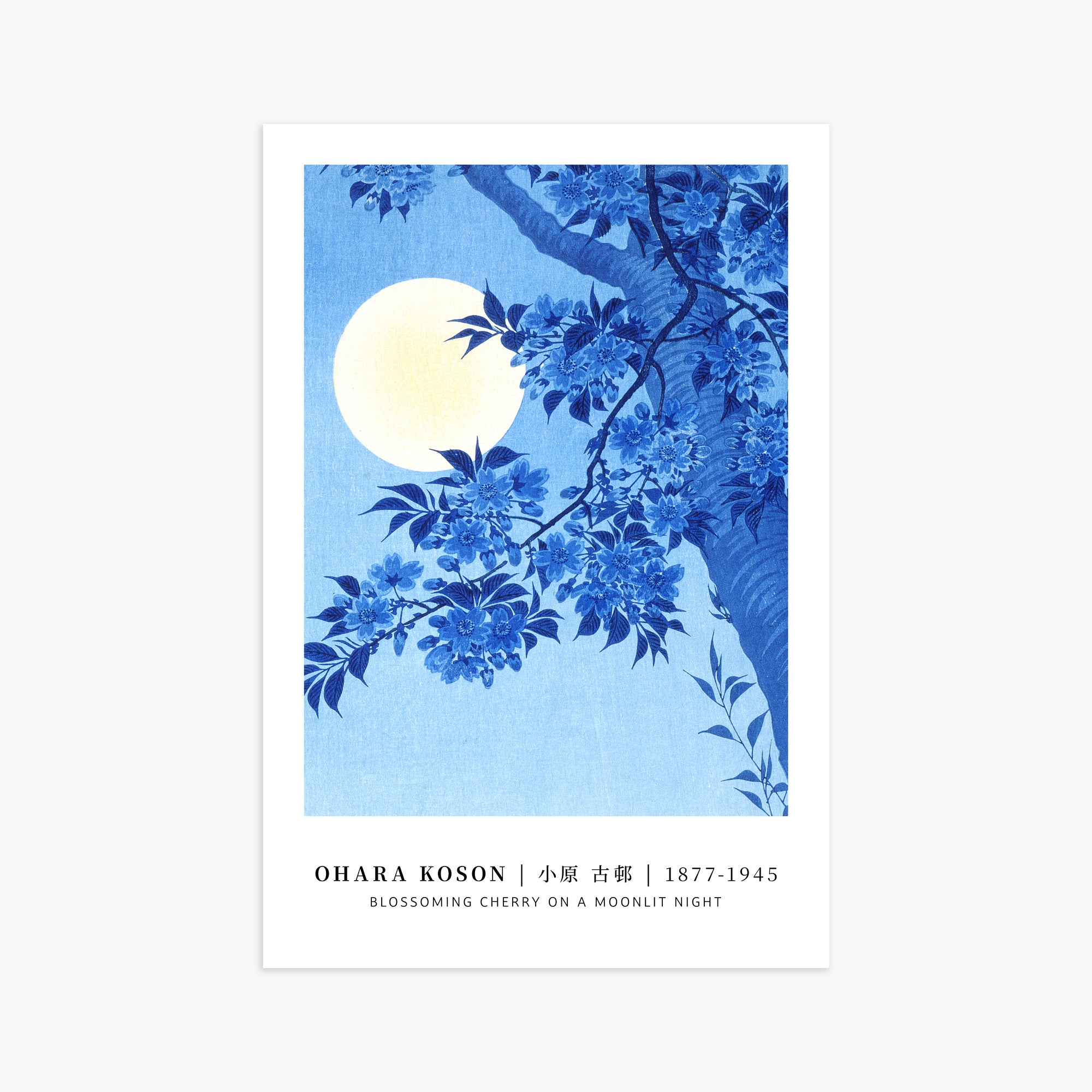 Blossoming Cherry on a Moonlit Night - Gallery-style