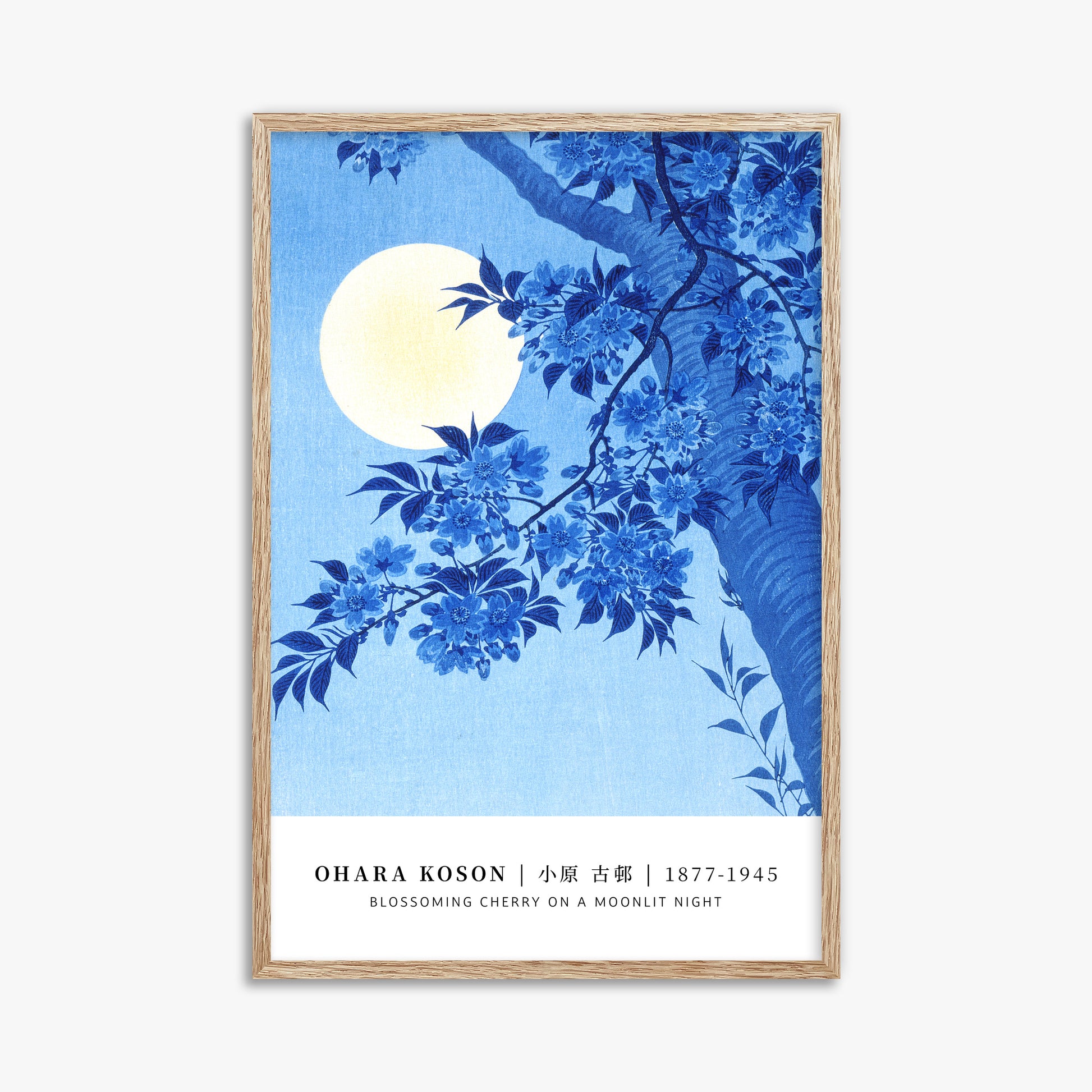 Ohara Koson: Blossoming Cherry on a Moonlit Night - Gallery-style, 61x91cm Framed Art Reproduction With Raw Oak Frame