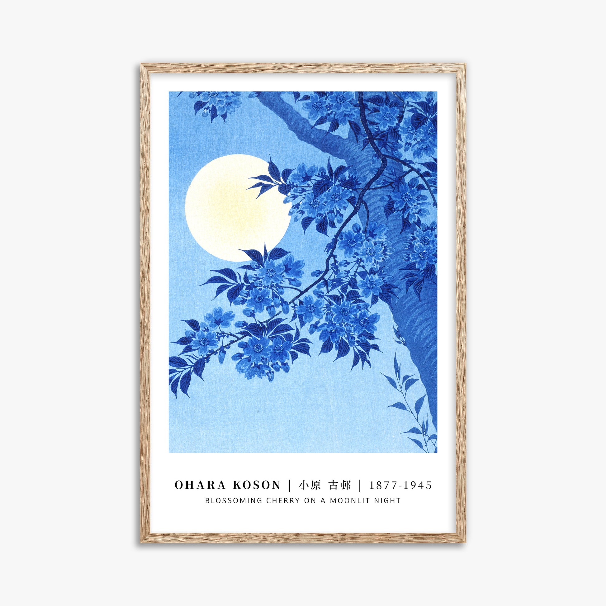 Ohara Koson: Blossoming Cherry on a Moonlit Night - Gallery-style, 61x91cm Framed Art Reproduction With Raw Oak Frame