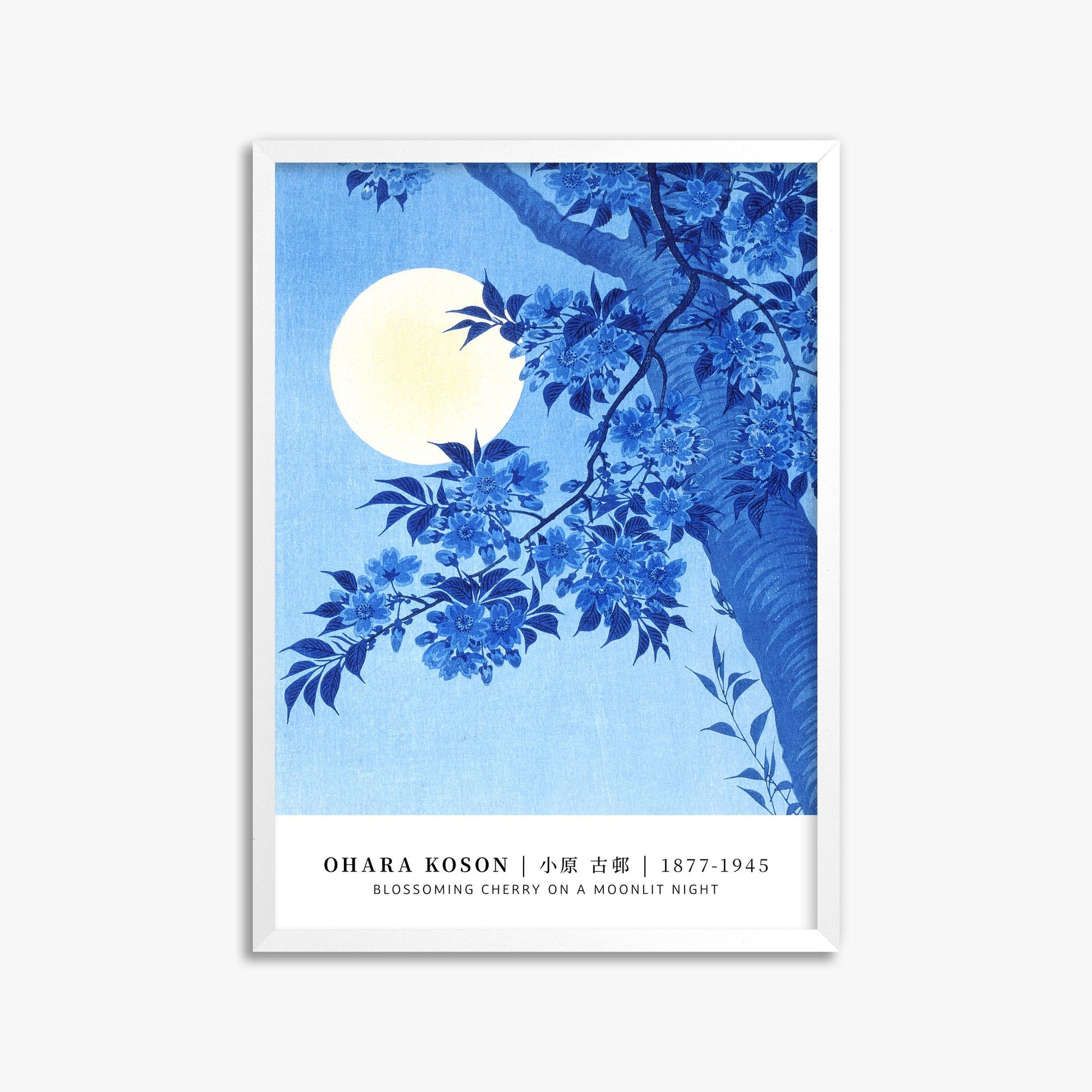 Ohara Koson: Blossoming Cherry on a Moonlit Night - Gallery-style 50x70 cm Art Reproduction With White Frame