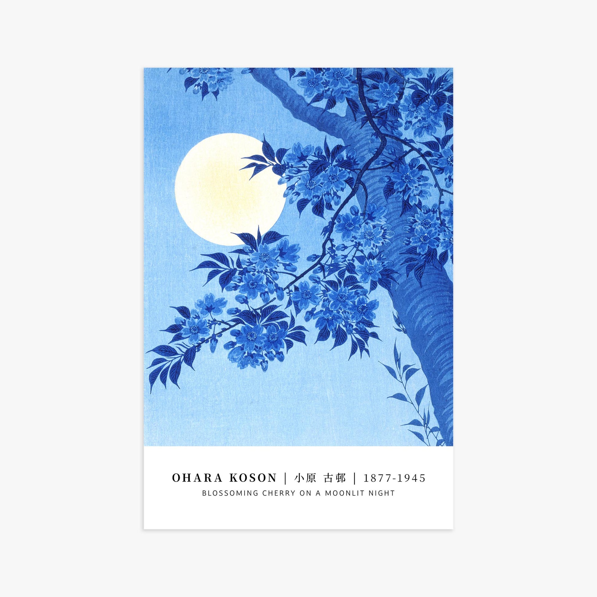 Ohara Koson: Blossoming Cherry on a Moonlit Night - Gallery-style 61x91 cm Art Reproduction Unframed