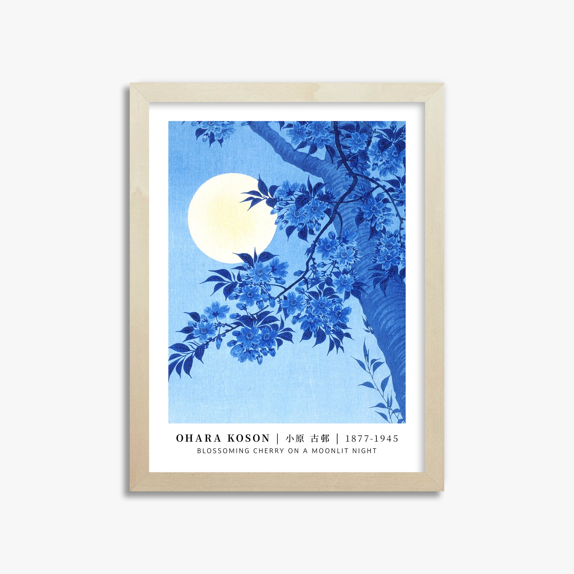 Ciliegio in fiore in una notte di luna - Gallery-style