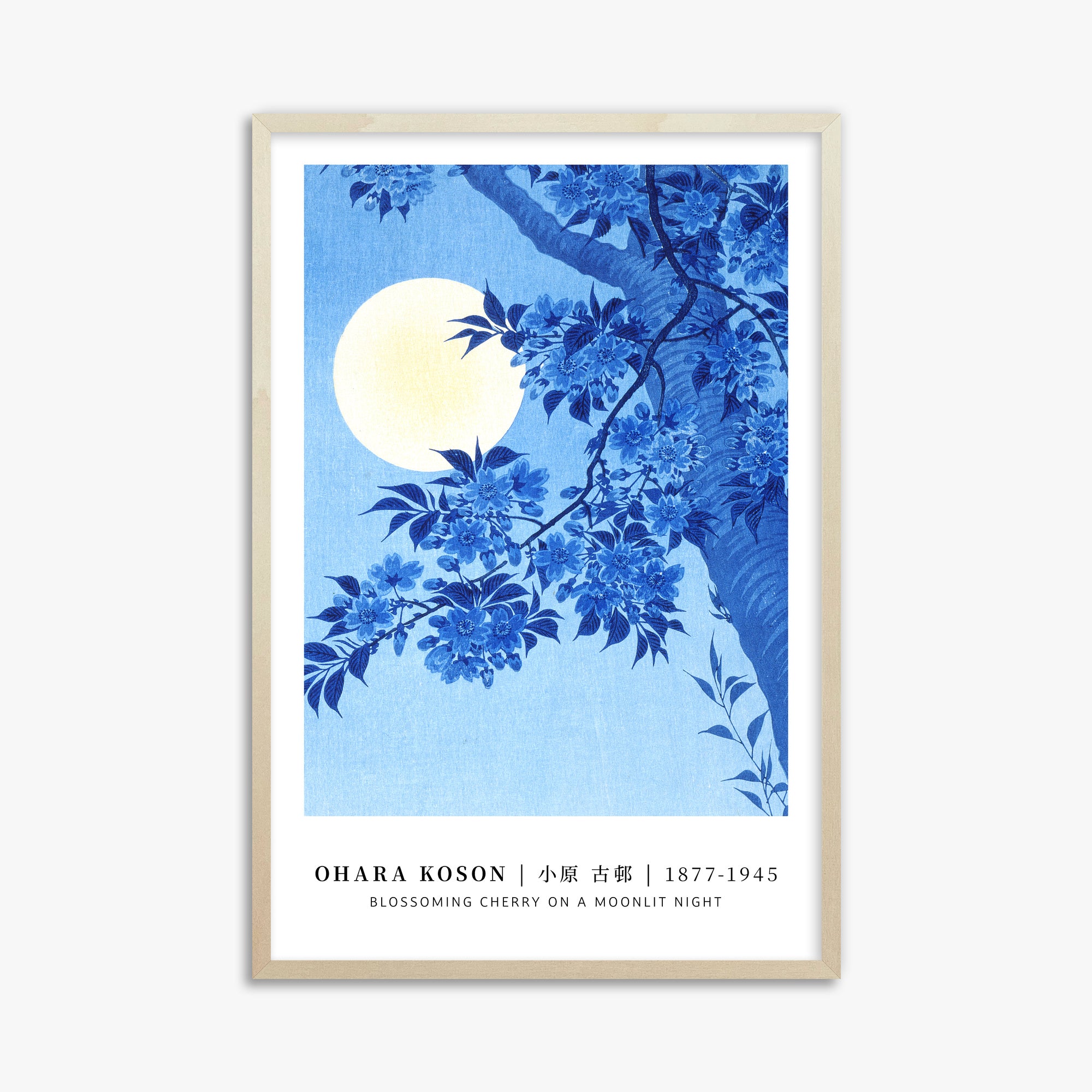 Ciliegio in fiore in una notte di luna - Gallery-style