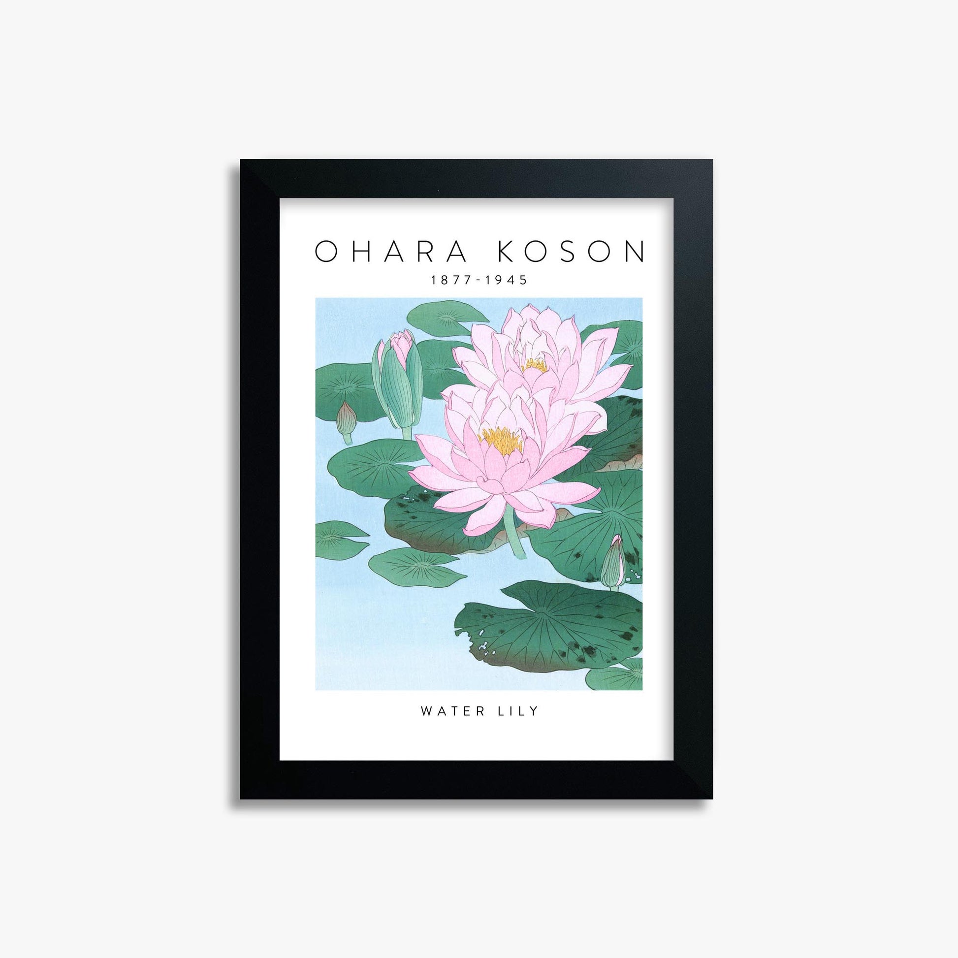 Ohara Koson: Water Lily - Gallery-style 21x30 cm Art Reproduction With Black Frame