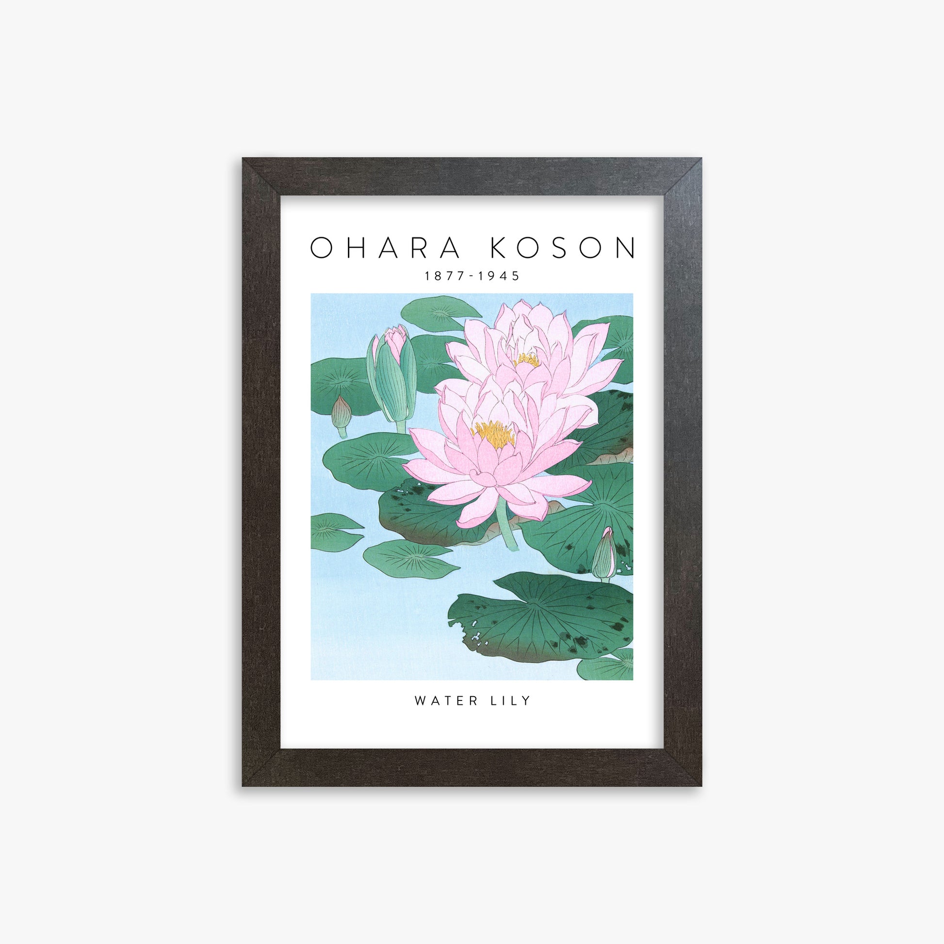 Ohara Koson: Water Lily - Gallery-style, 21x30cm Framed Art Reproduction With Espresso Frame