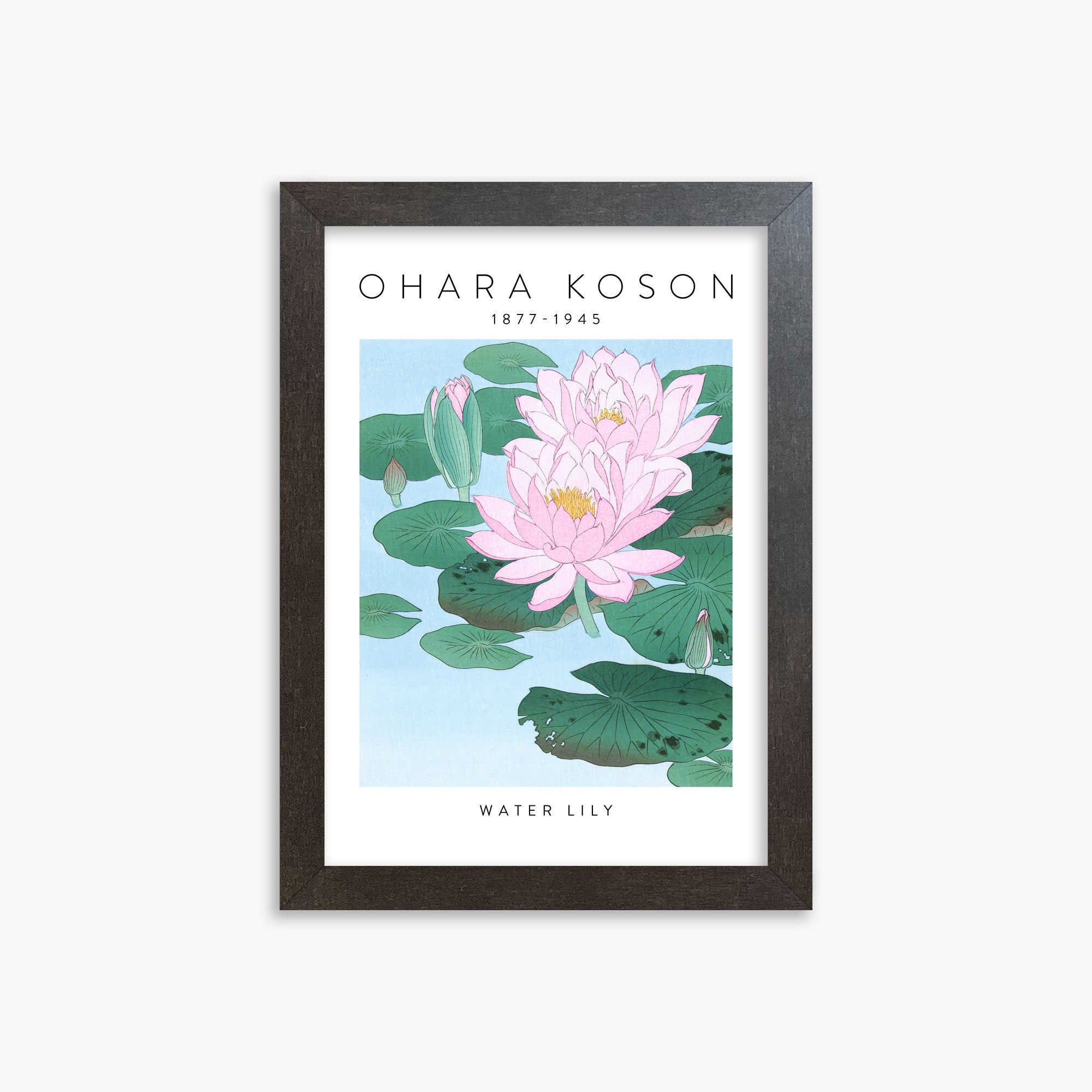 Ohara Koson: Water Lily - Gallery-style, 21x30cm Framed Art Reproduction With Espresso Frame