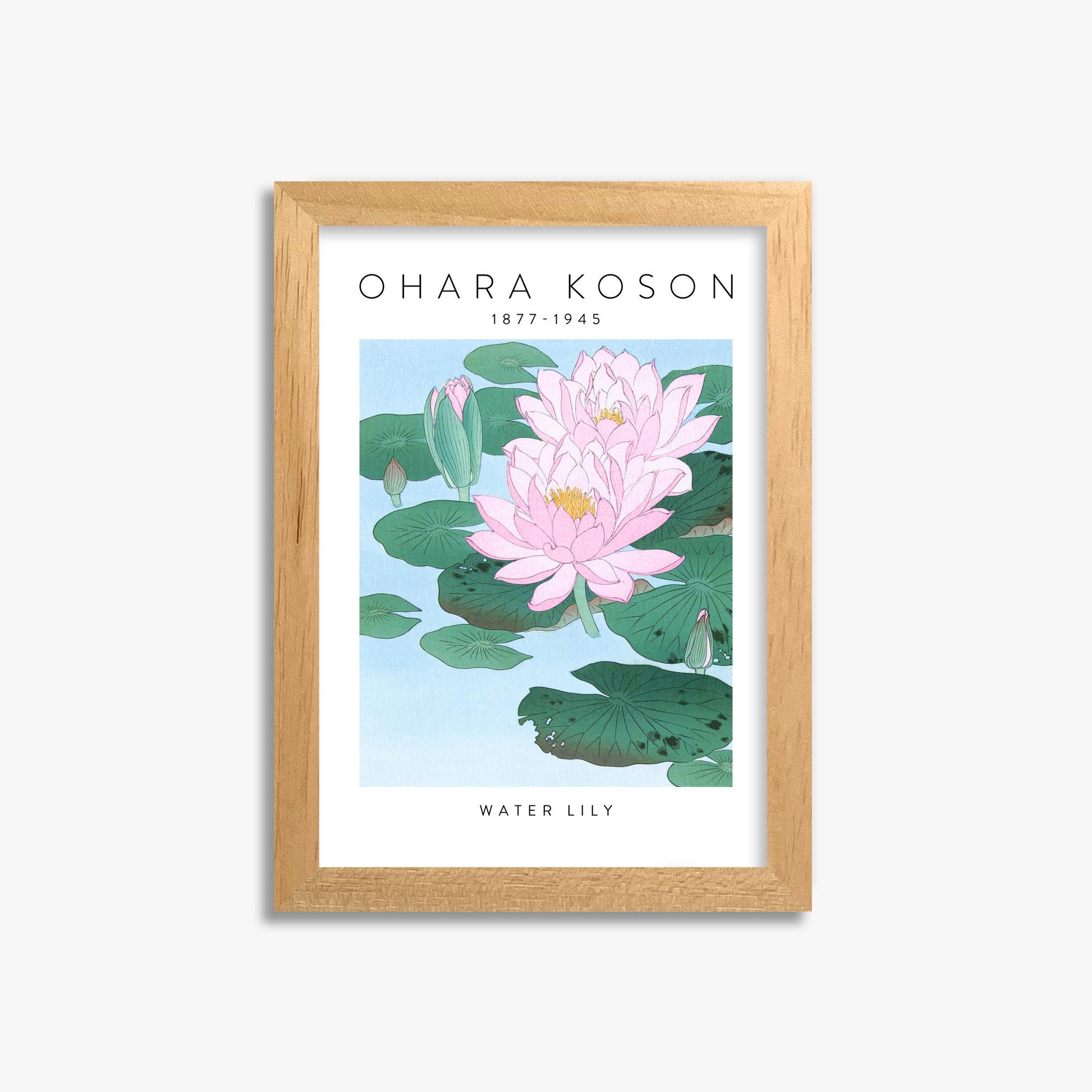 Ohara Koson: Water Lily - Gallery-style 21x30 cm Art Reproduction With Oak Frame