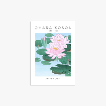 Ohara Koson: Water Lily - Gallery-style, 21x30cm Art Reproduction Unframed