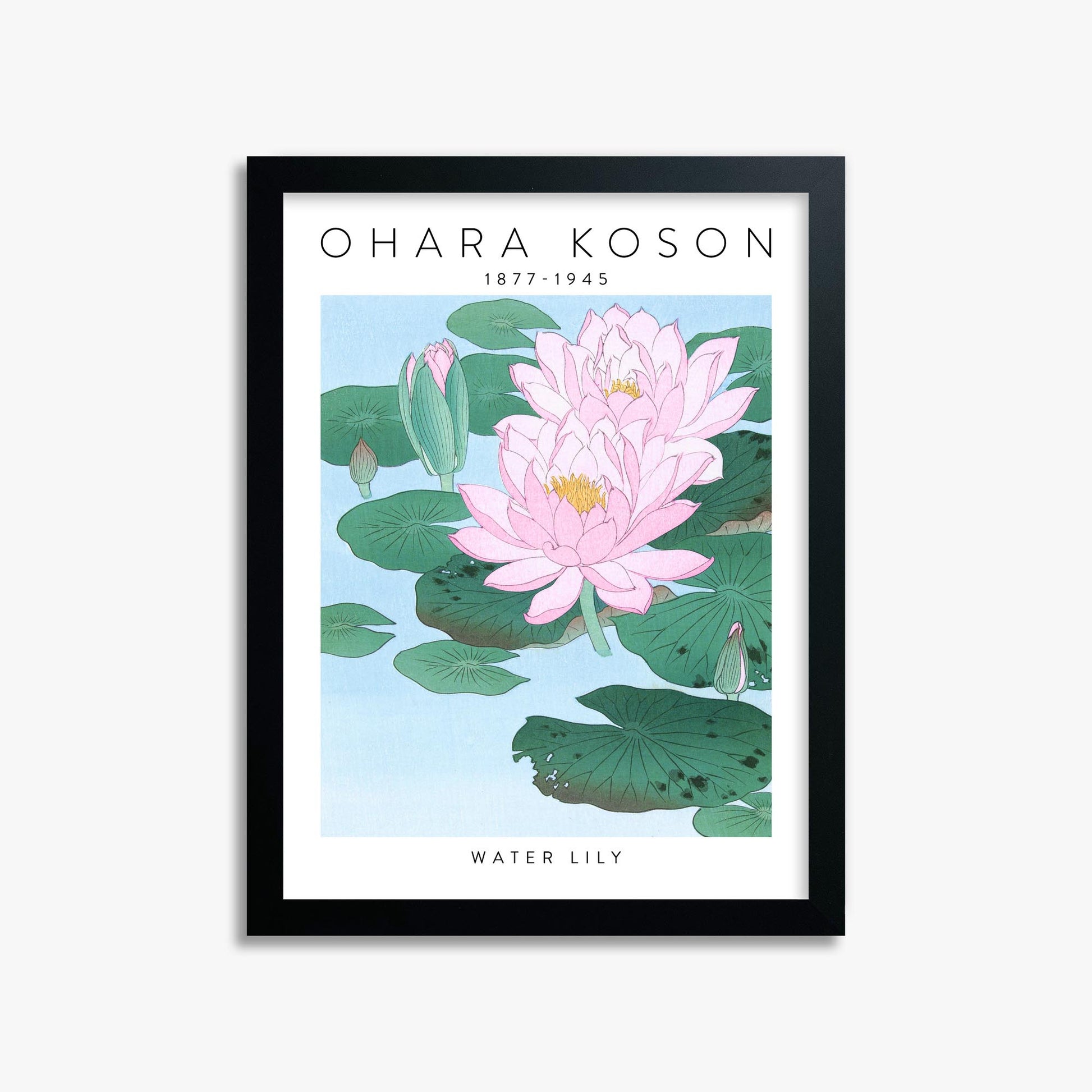 Ohara Koson: Water Lily - Gallery-style 30x40 cm Art Reproduction With Black Frame
