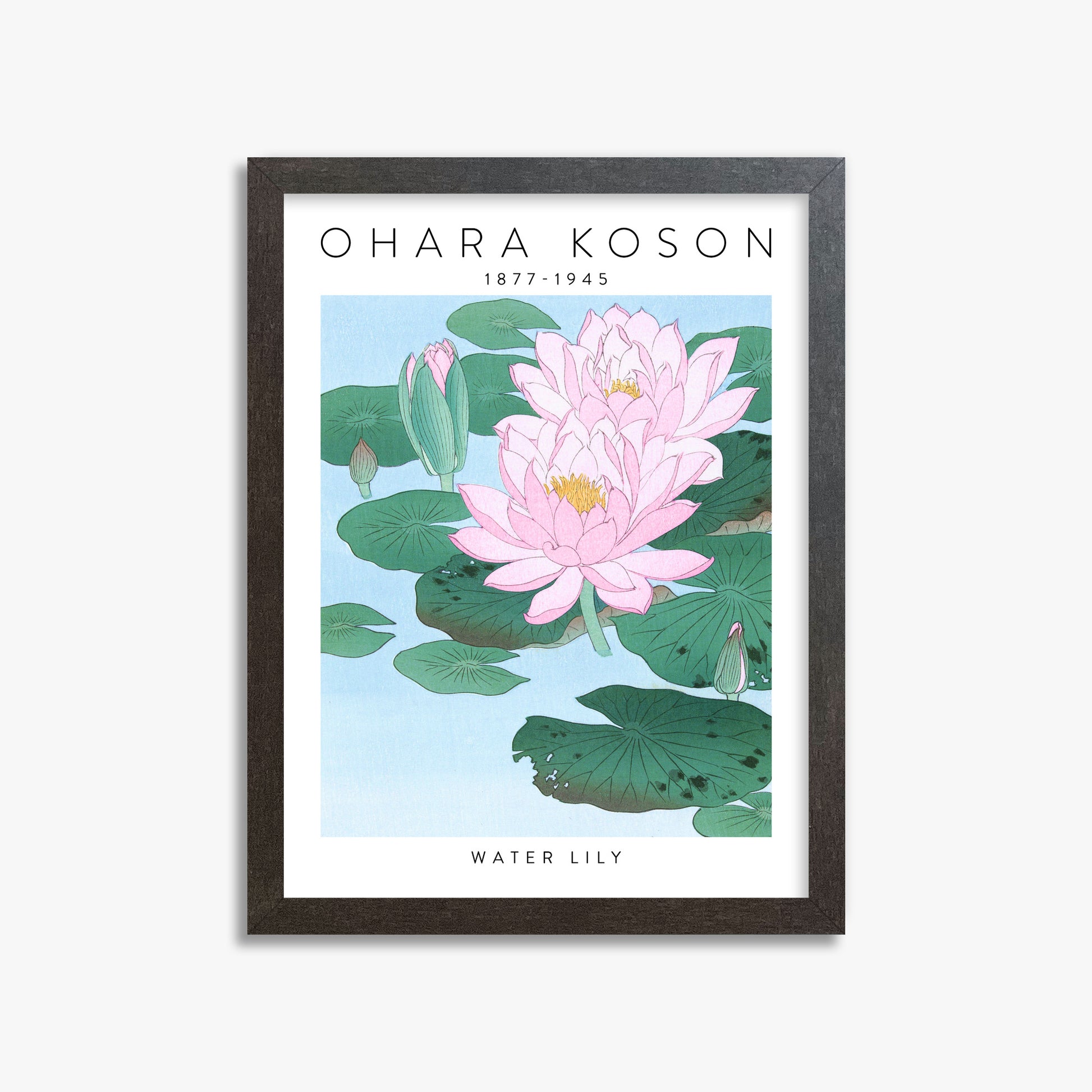 Ohara Koson: Water Lily - Gallery-style, 30x40cm Framed Art Reproduction With Espresso Frame
