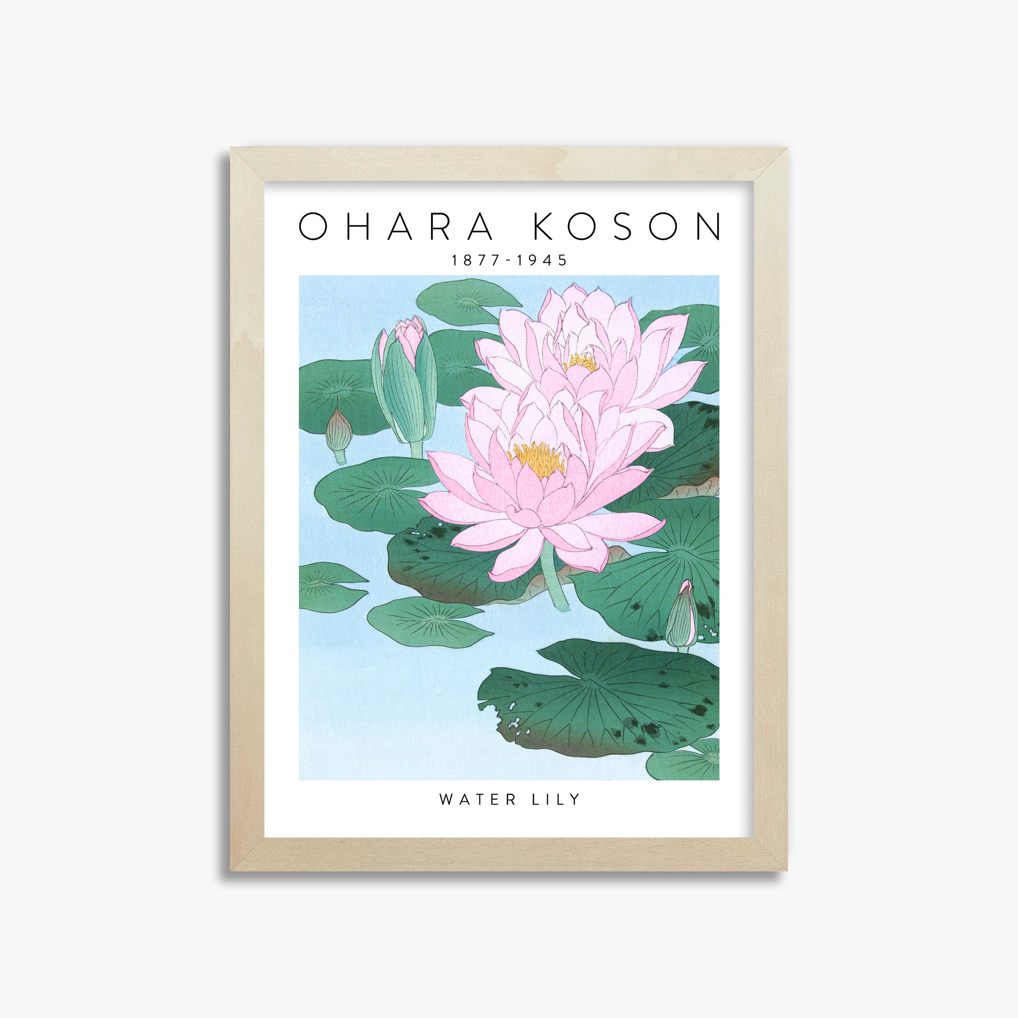 Ohara Koson: Water Lily - Gallery-style, 30x40cm Framed Art Reproduction With Lime Wood Frame