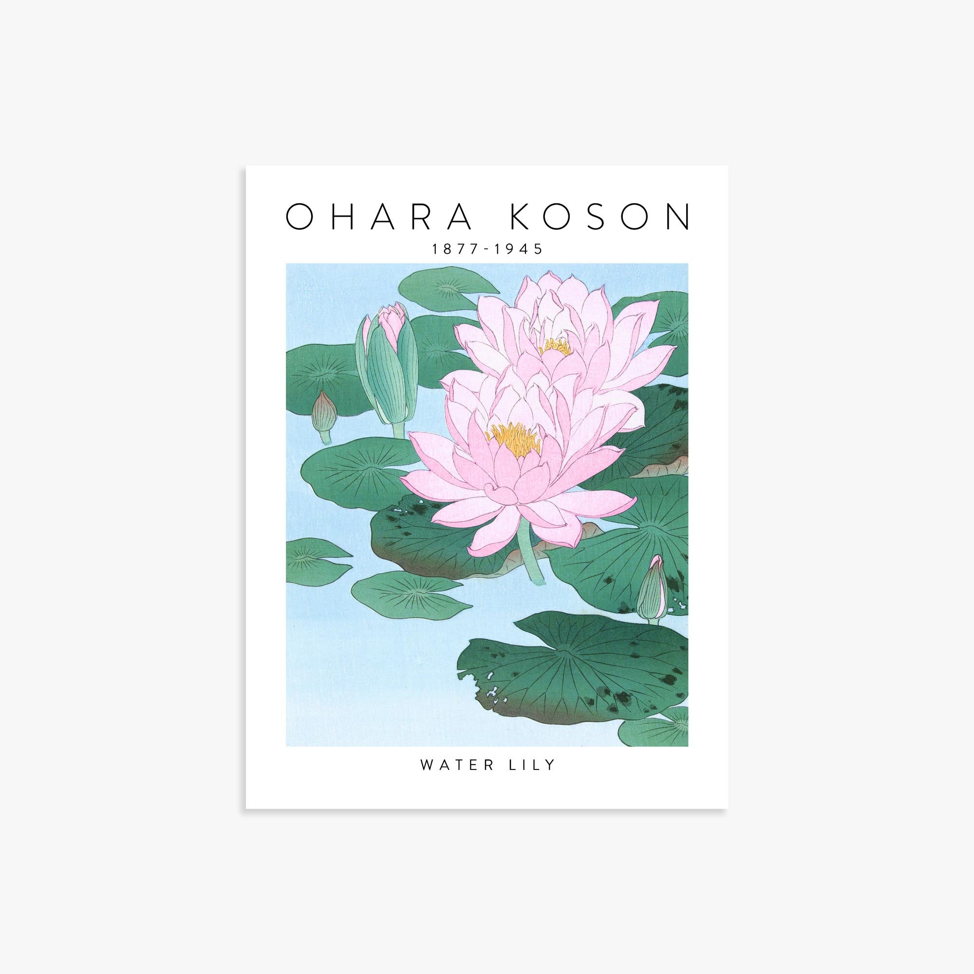 Ohara Koson: Water Lily - Gallery-style 30x40 cm Art Reproduction Unframed