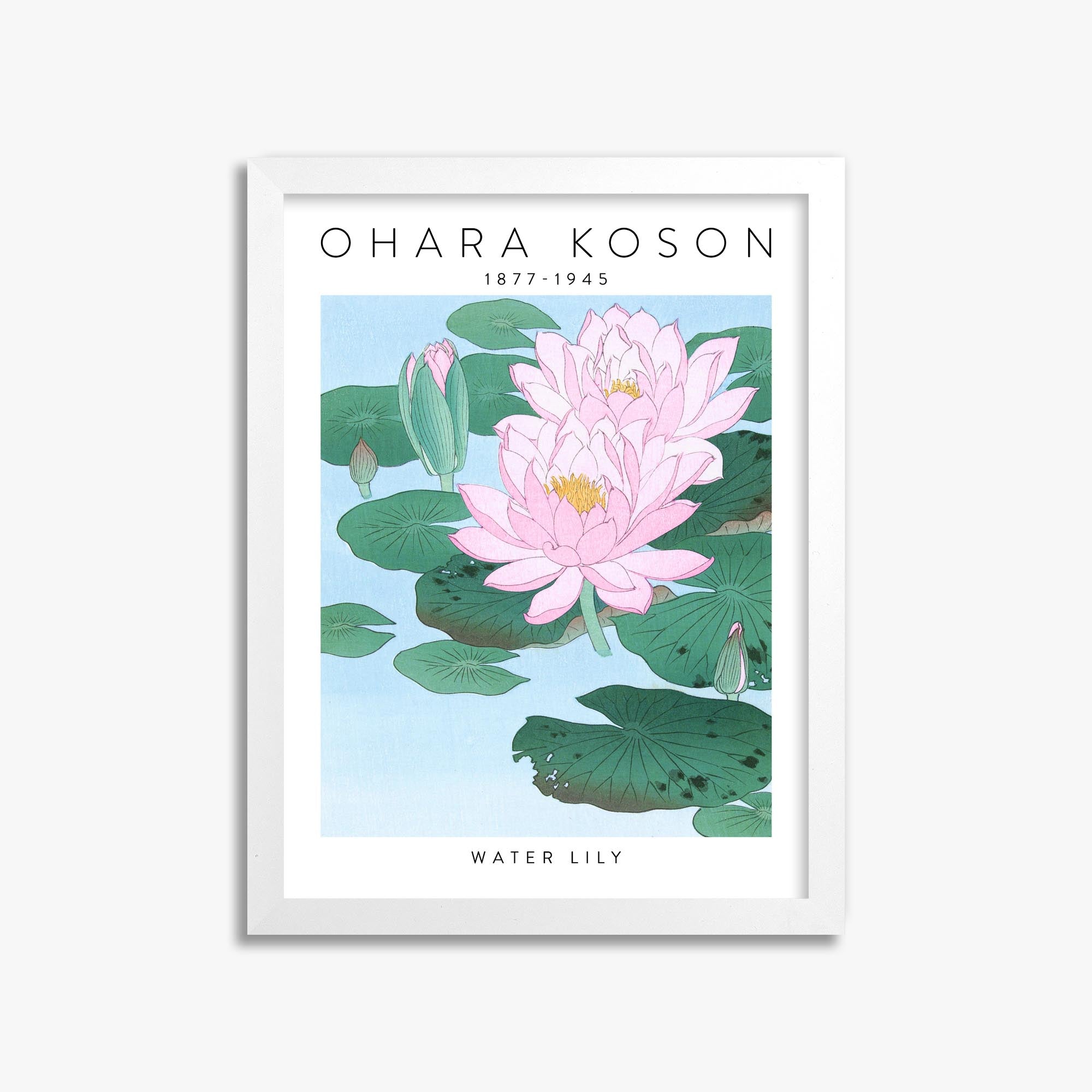Ohara Koson: Water Lily - Gallery-style 30x40 cm Art Reproduction With White Frame