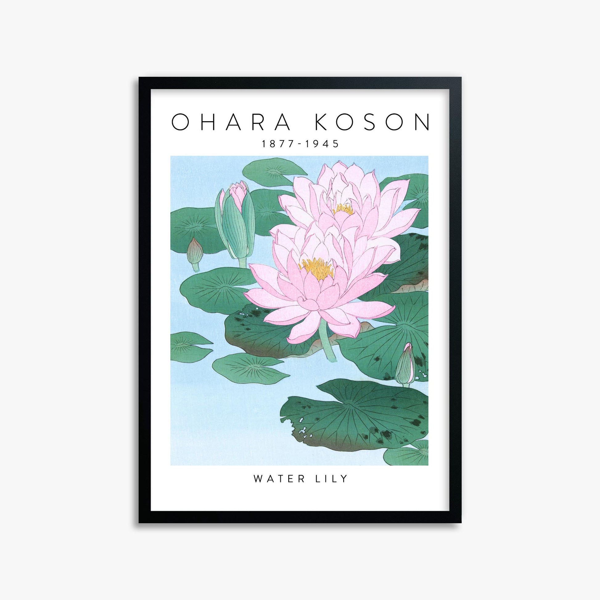 Ohara Koson: Water Lily - Gallery-style 50x70 cm Art Reproduction With Black Frame