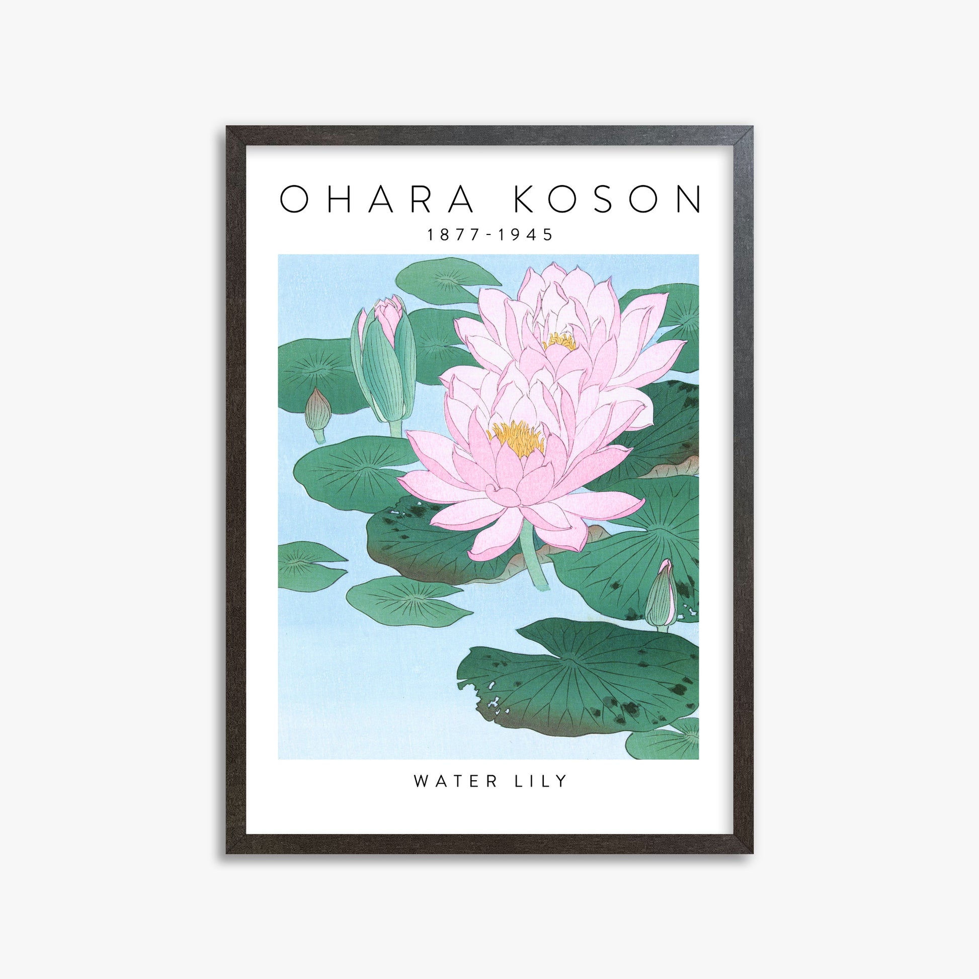 Ohara Koson: Water Lily - Gallery-style, 50x70cm Framed Art Reproduction With Espresso Frame