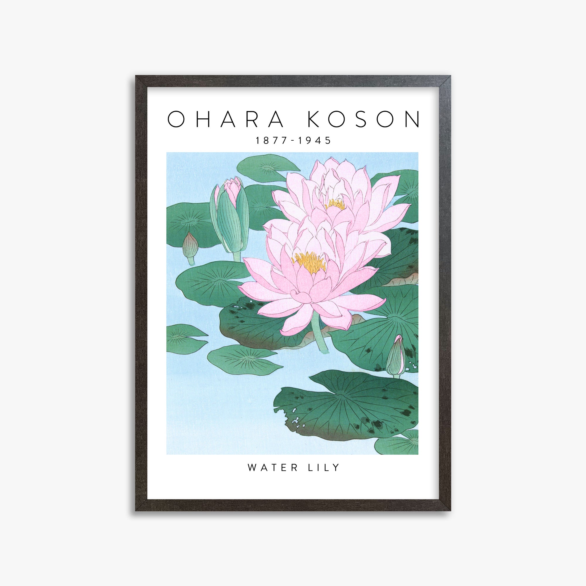 Ohara Koson: Water Lily - Gallery-style, 50x70cm Framed Art Reproduction With Espresso Frame