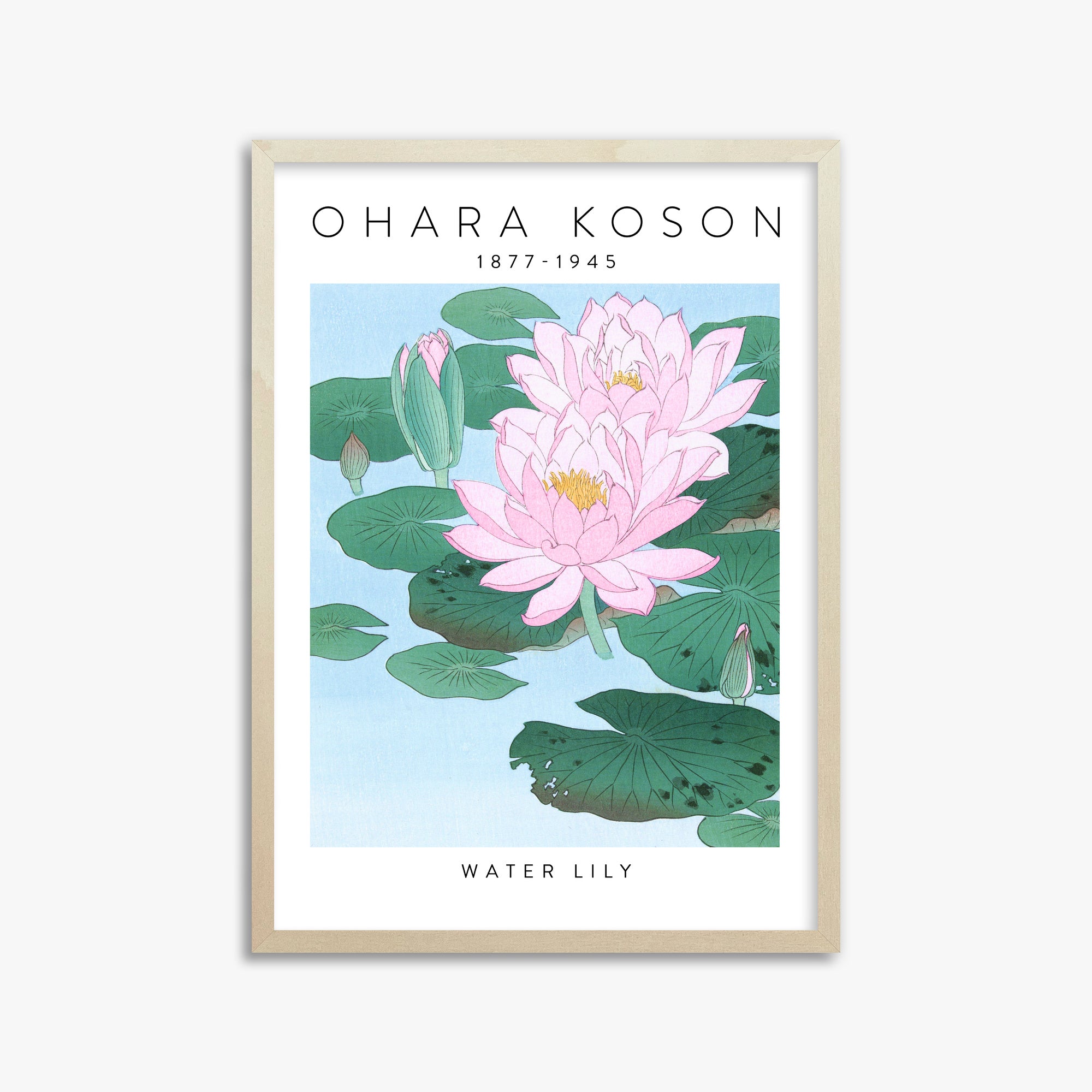 Ohara Koson: Water Lily - Gallery-style, 50x70cm Framed Art Reproduction With Lime Wood Frame
