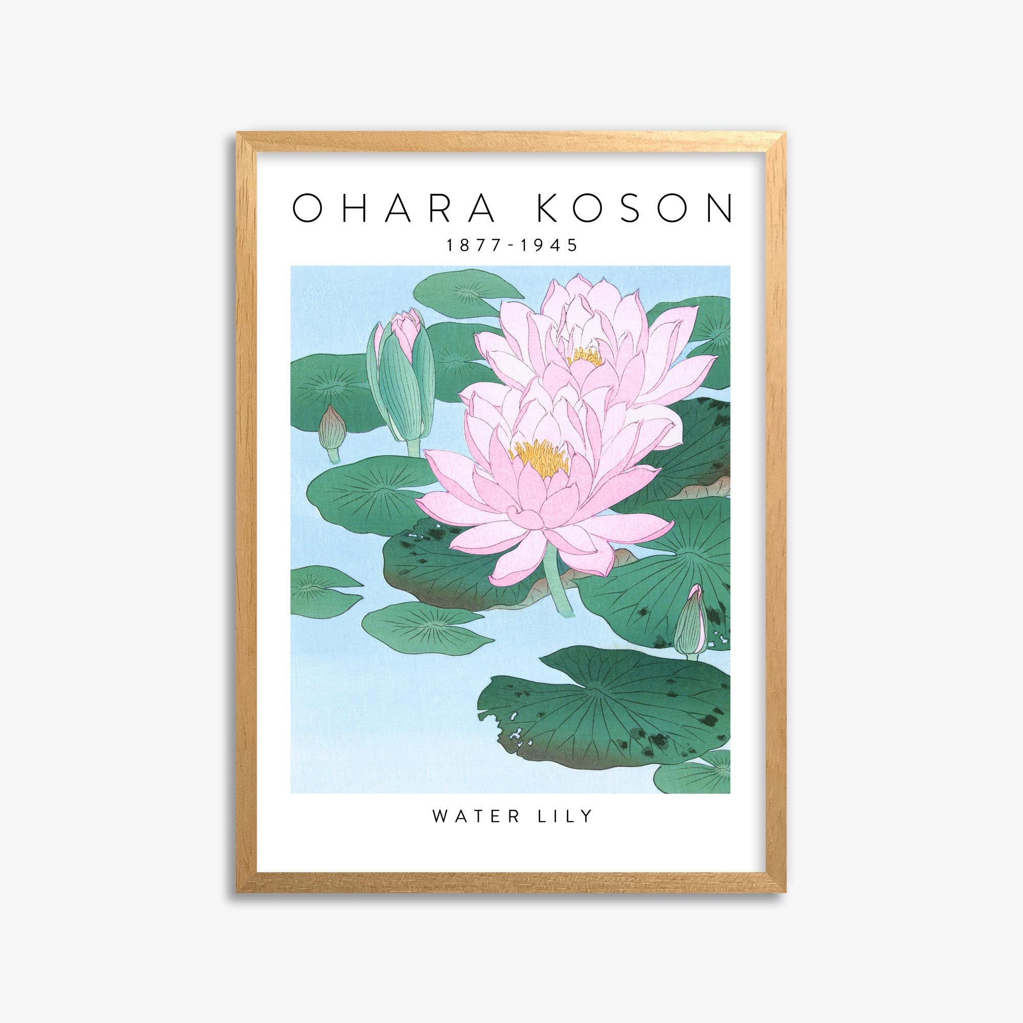 Ohara Koson: Water Lily - Gallery-style 50x70 cm Art Reproduction With Oak Frame
