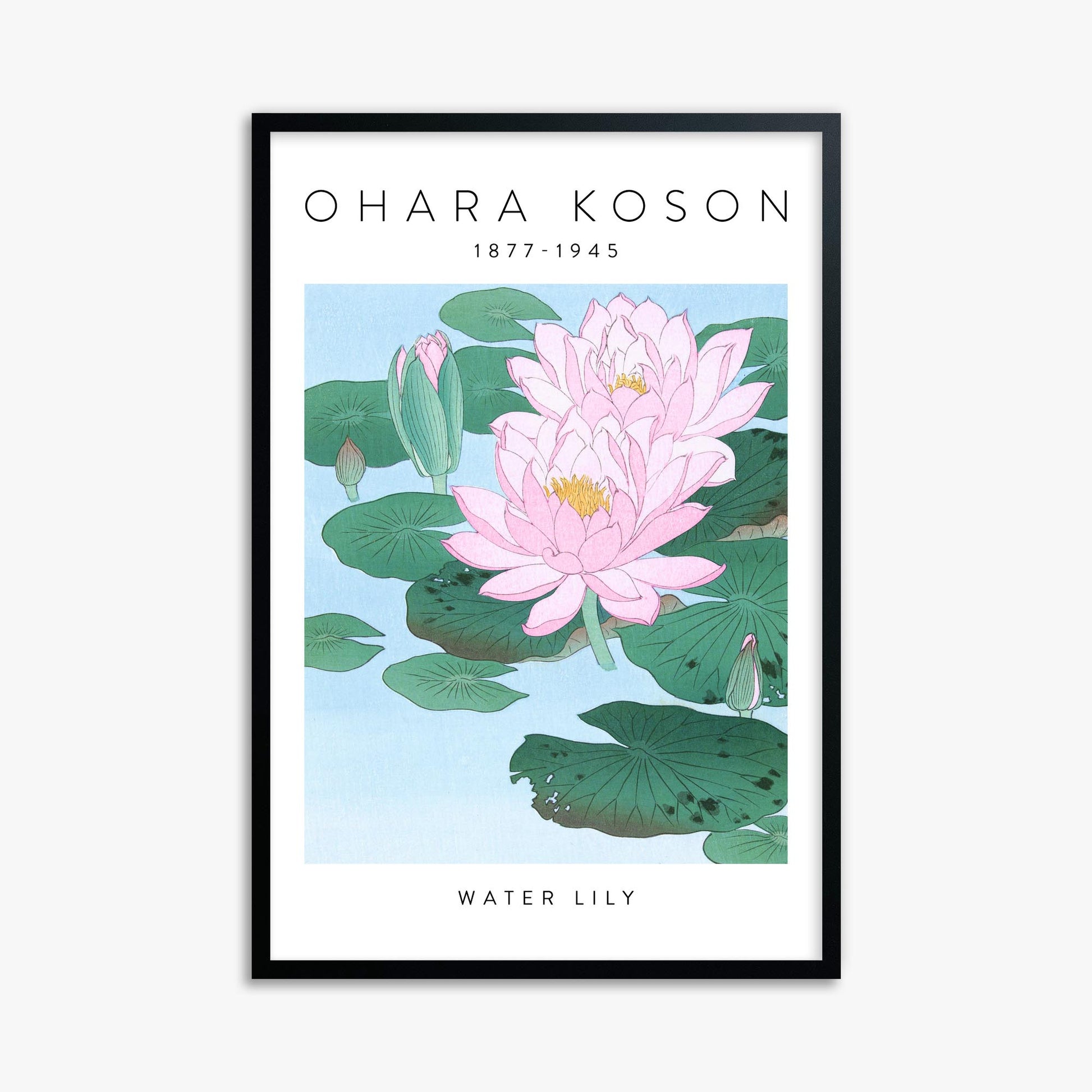 Ohara Koson: Water Lily - Gallery-style 61x91 cm Art Reproduction With Black Frame