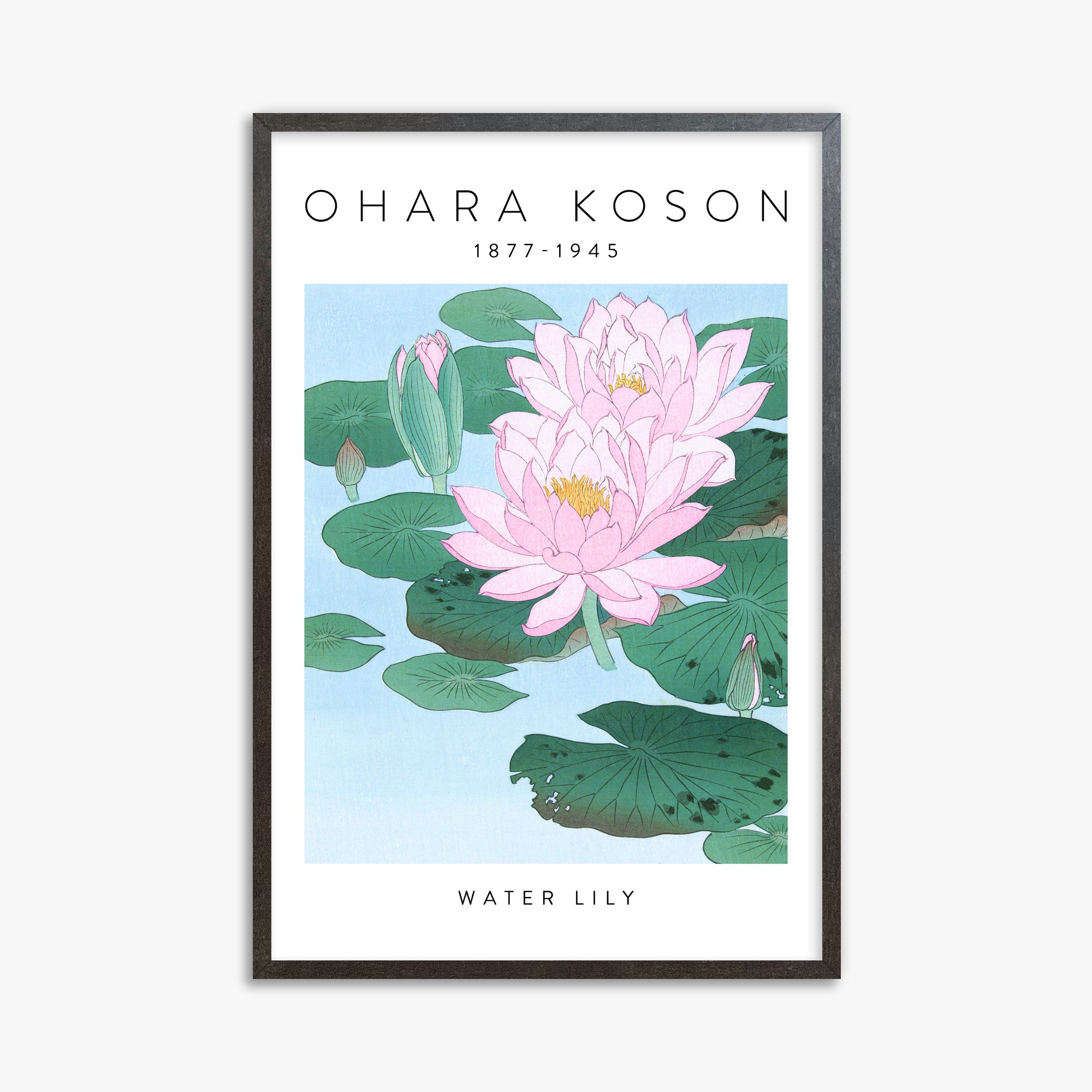 Ohara Koson: Water Lily - Gallery-style, 61x91cm Framed Art Reproduction With Espresso Frame