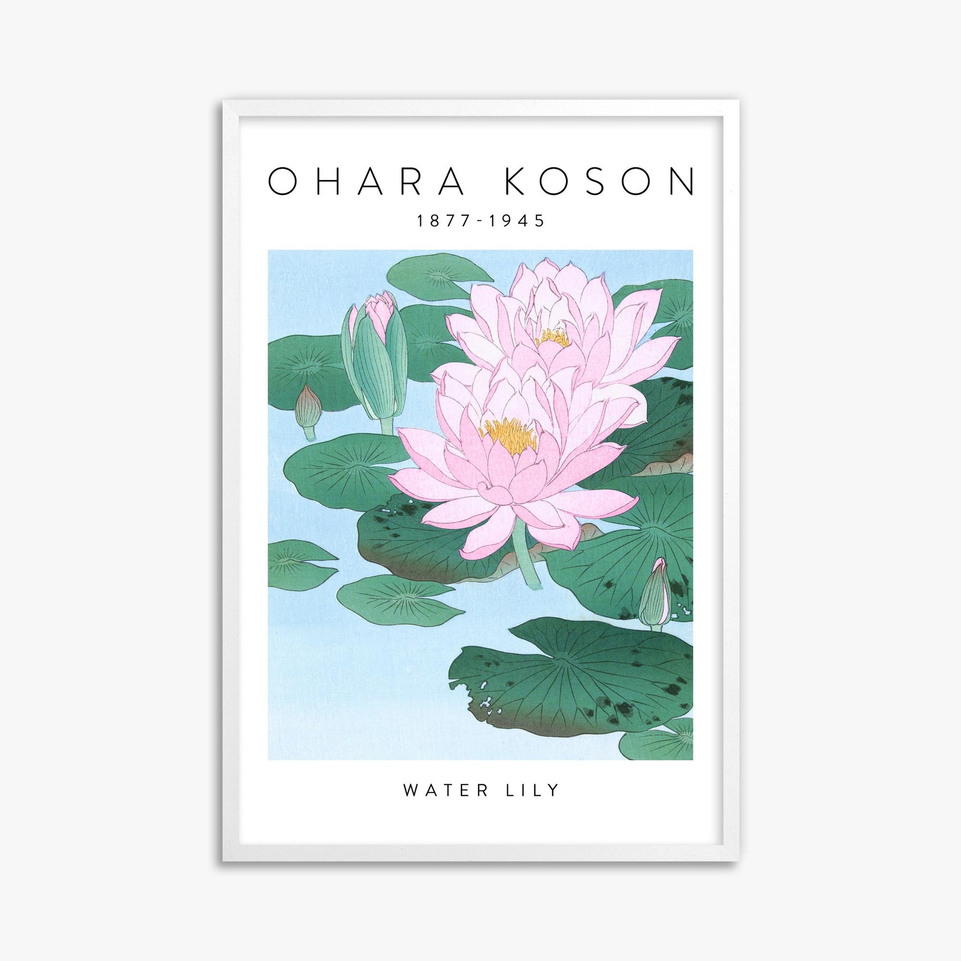 Ohara Koson: Water Lily - Gallery-style 61x91 cm Art Reproduction With White Frame