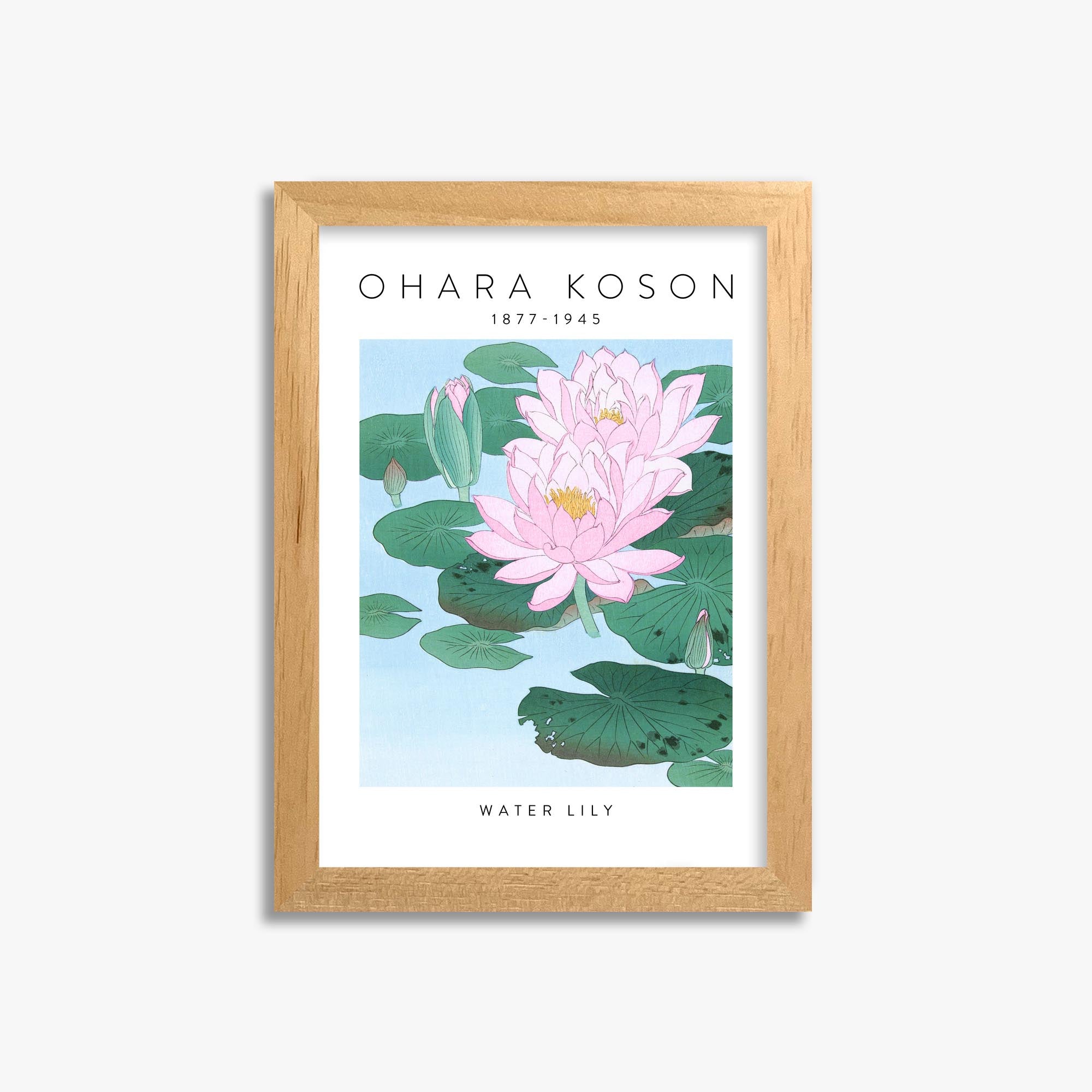 Ohara Koson: Water Lily - Gallery-style 21x30 cm Art Reproduction With Oak Frame