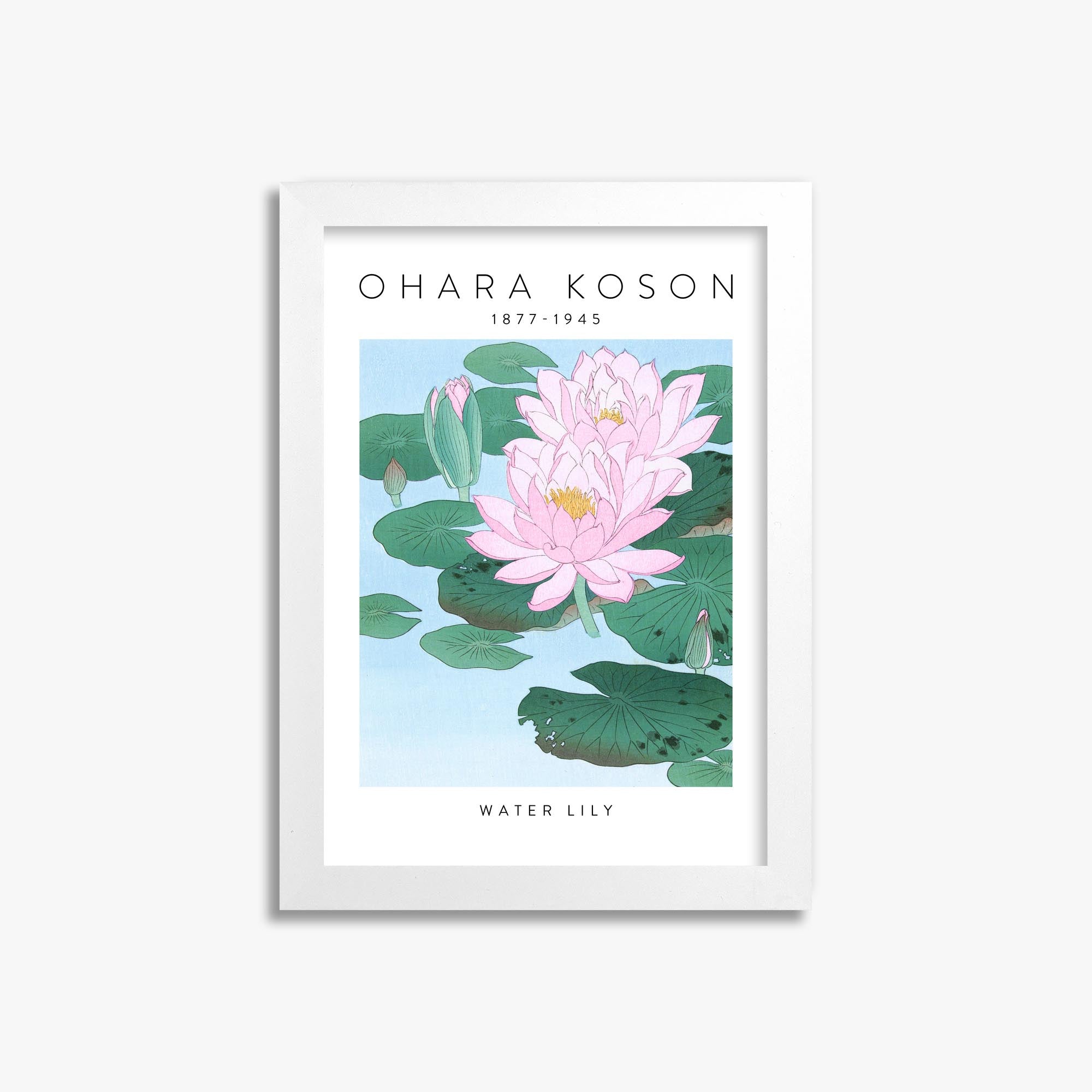 Ohara Koson: Water Lily - Gallery-style 21x30 cm Art Reproduction With White Frame