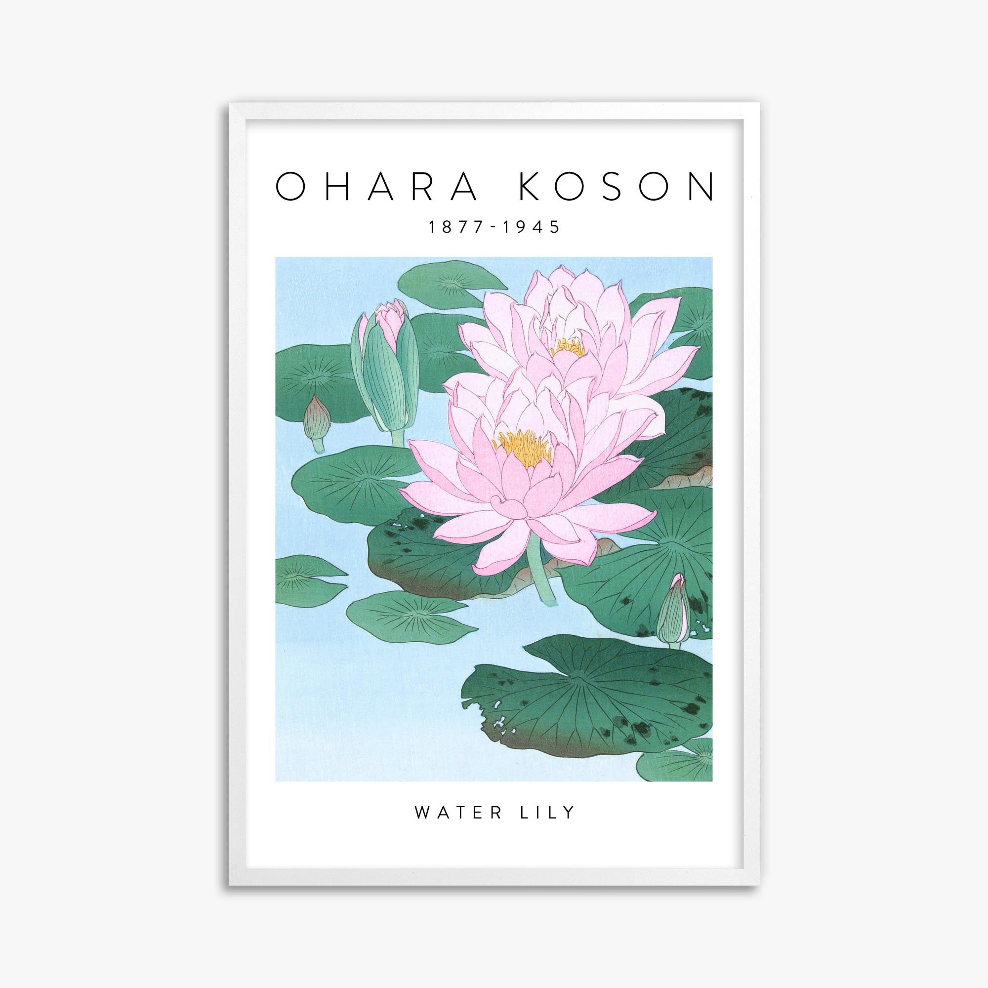 Ohara Koson: Water Lily - Gallery-style 61x91 cm Art Reproduction With White Frame