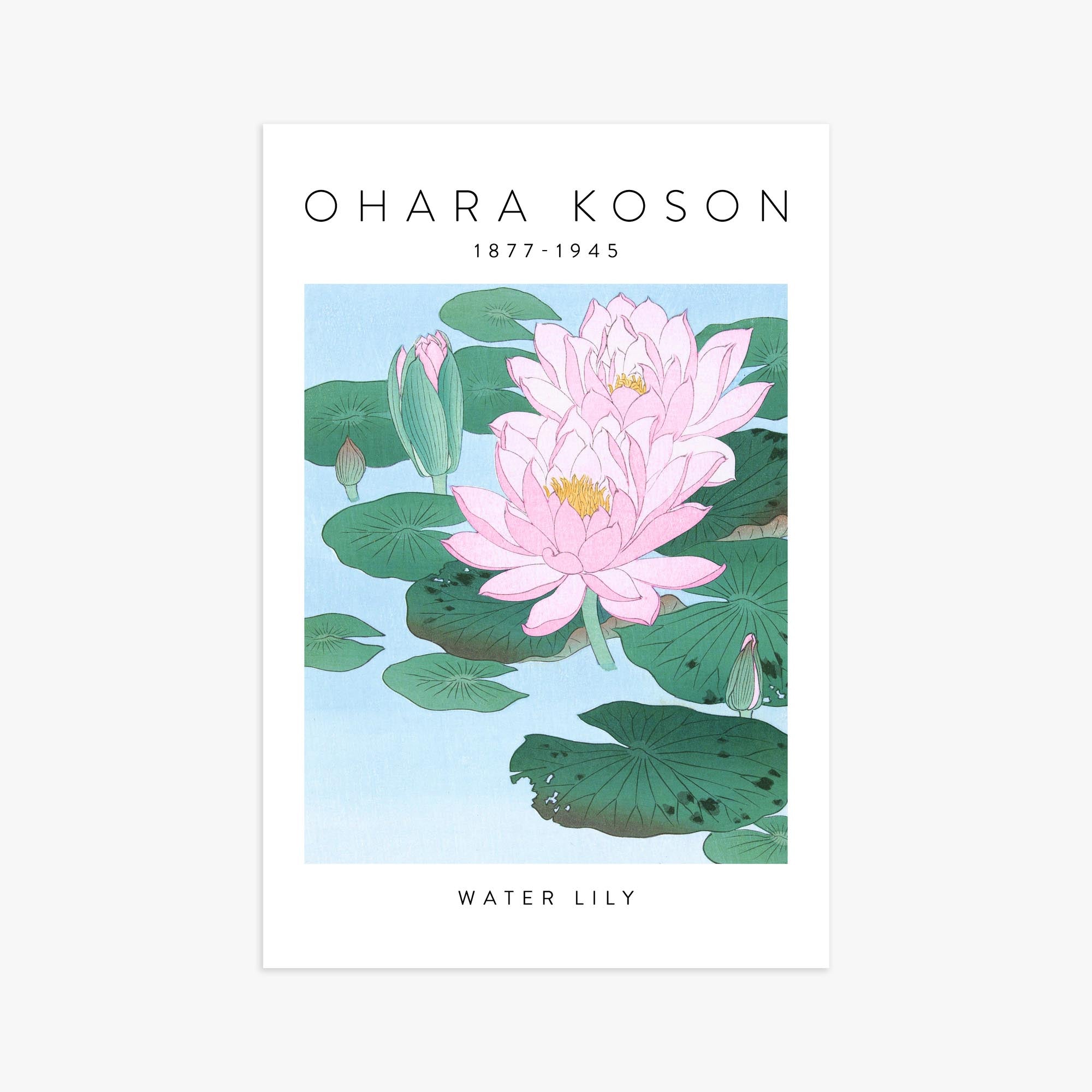 Ohara Koson: Water Lily - Gallery-style 61x91 cm Art Reproduction Unframed