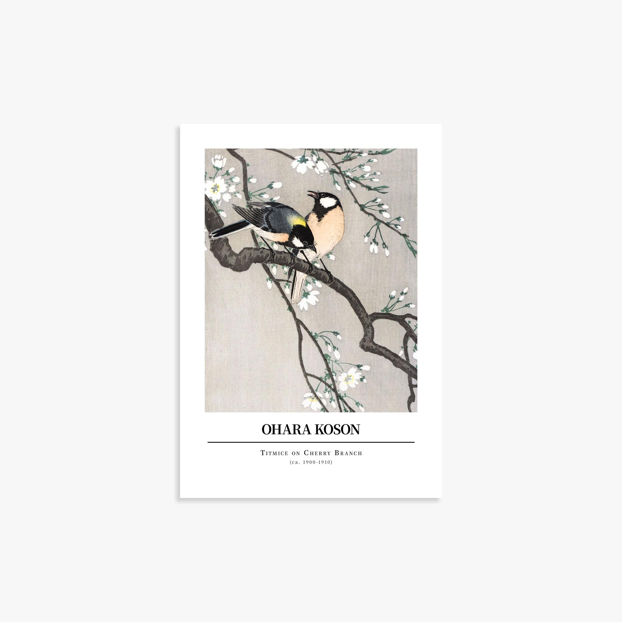 Ohara Koson Titmice on Cherry Branch Print – Japandi.Art