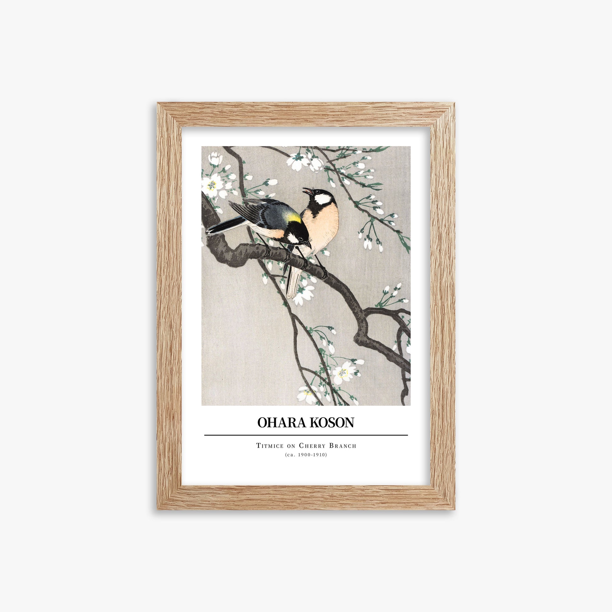 Ohara Koson: Titmice on Cherry Branch - Gallery-style, 21x30cm Framed Art Reproduction With Raw Oak Frame