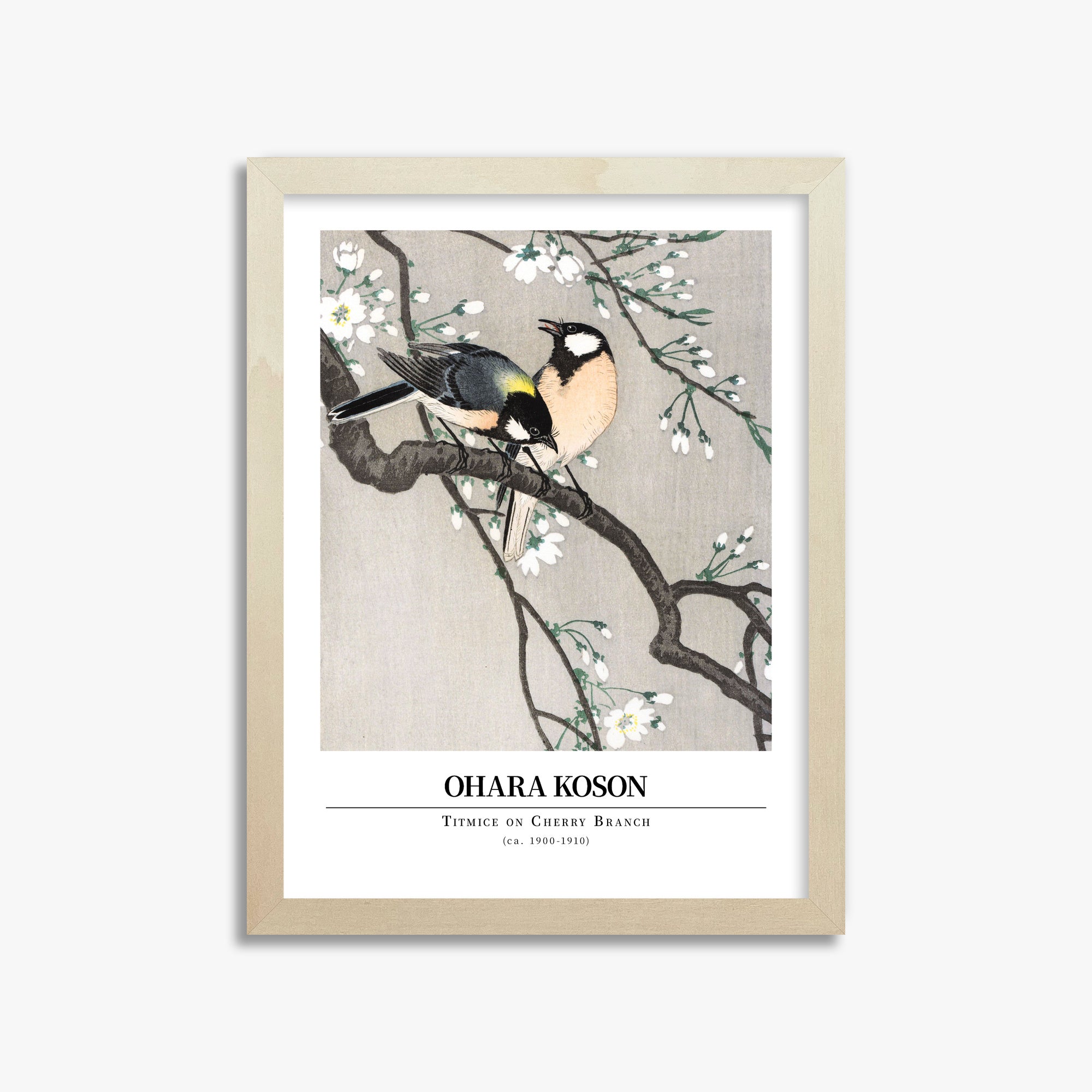 Ohara Koson: Titmice on Cherry Branch - Gallery-style, 30x40cm Framed Art Reproduction With Lime Wood Frame