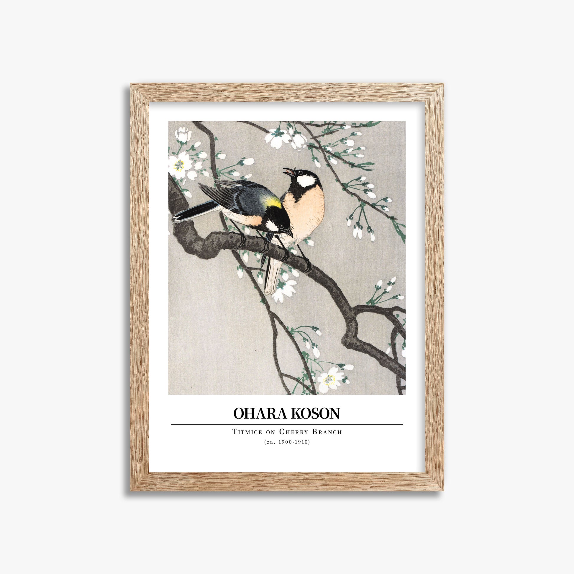 Ohara Koson: Titmice on Cherry Branch - Gallery-style, 30x40cm Framed Art Reproduction With Raw Oak Frame