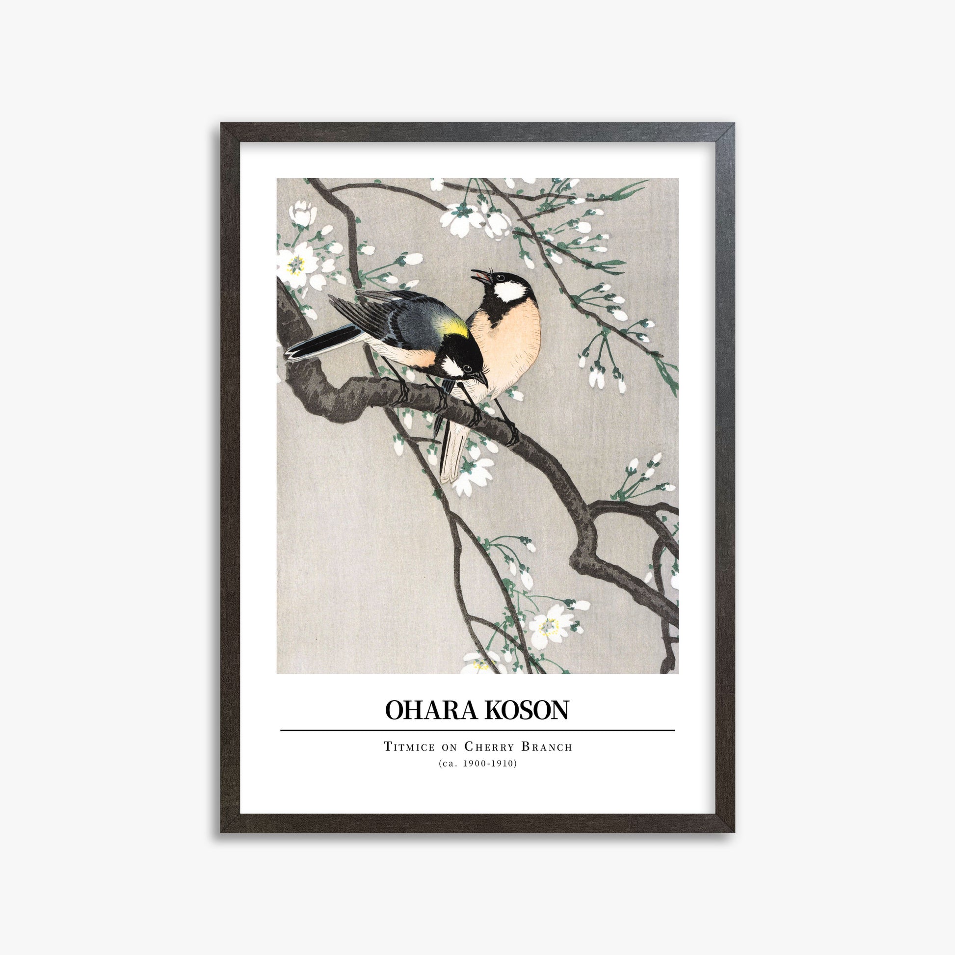 Ohara Koson: Titmice on Cherry Branch - Gallery-style, 50x70cm Framed Art Reproduction With Espresso Frame