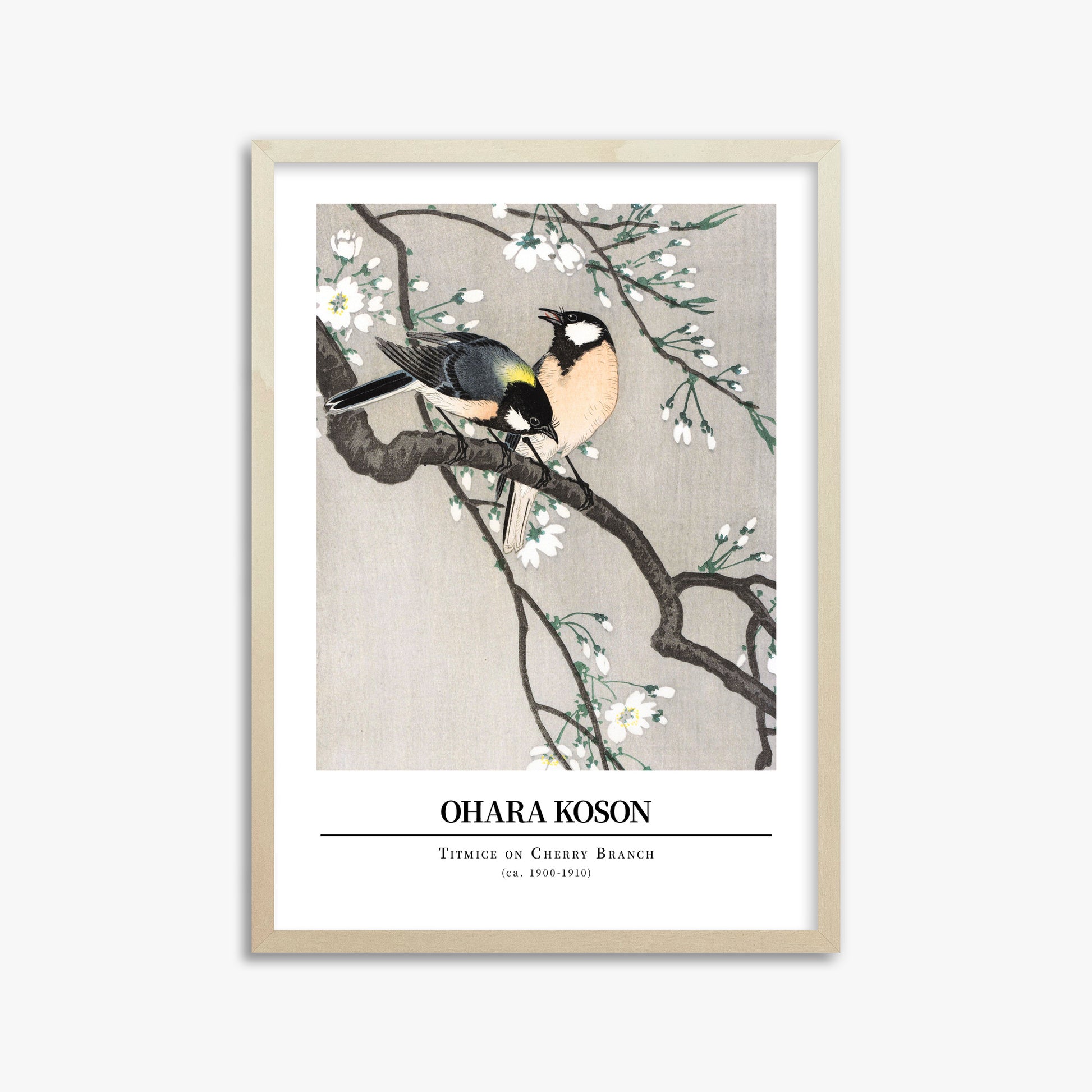 Ohara Koson: Titmice on Cherry Branch - Gallery-style, 50x70cm Framed Art Reproduction With Lime Wood Frame